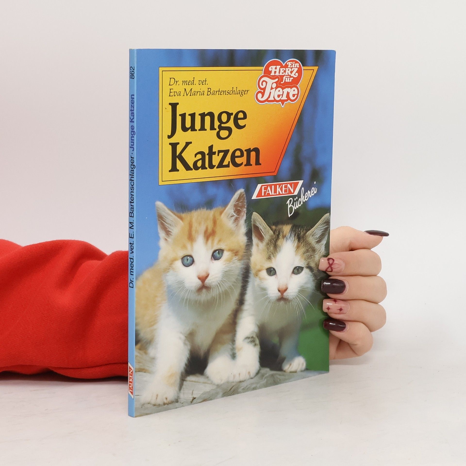 Eva Maria Bartenschlager Junge Katzen