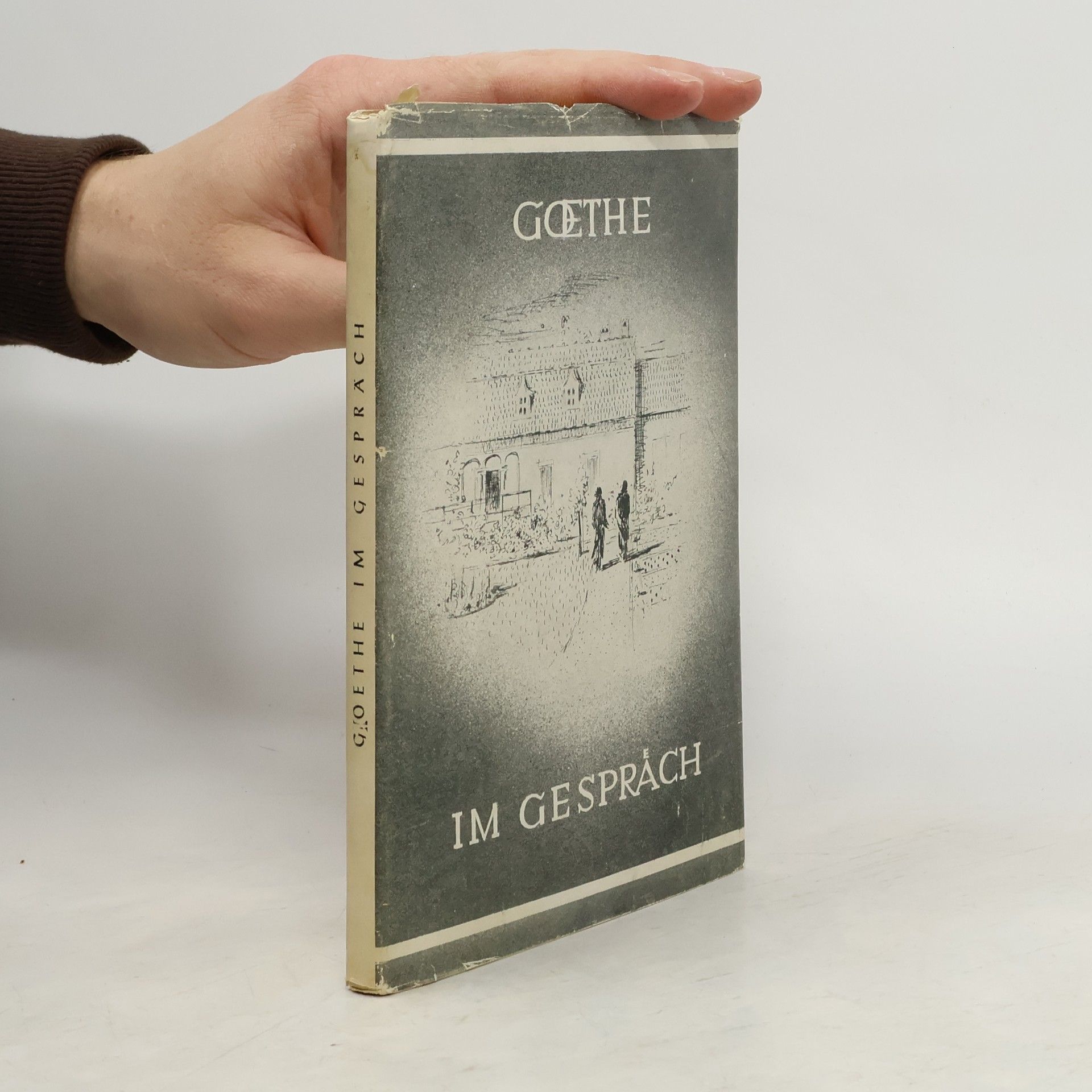 Johann Wolfgang von Goethe Goethe im Gespräch