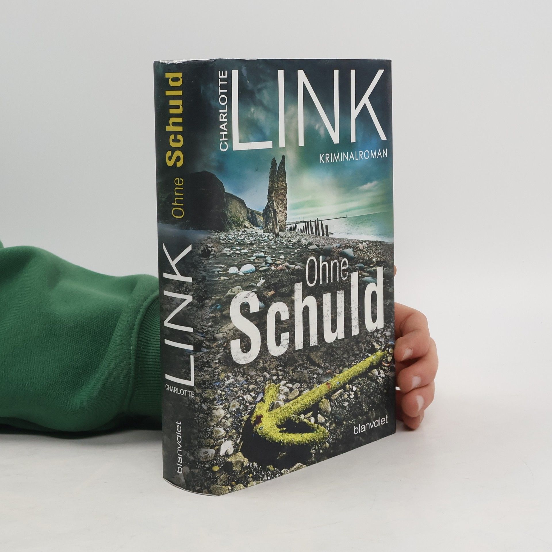 Charlotte Link Ohne Schuld