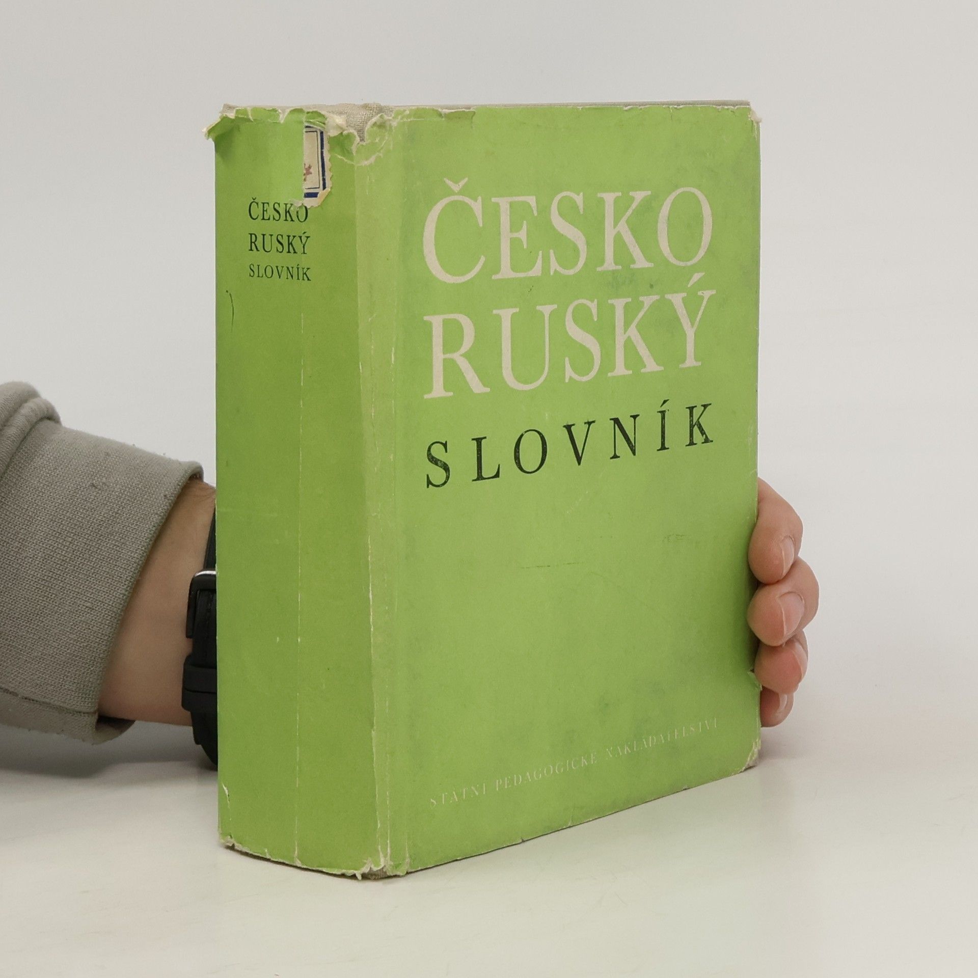 Collectif d'auteurs Česko-ruský slovník