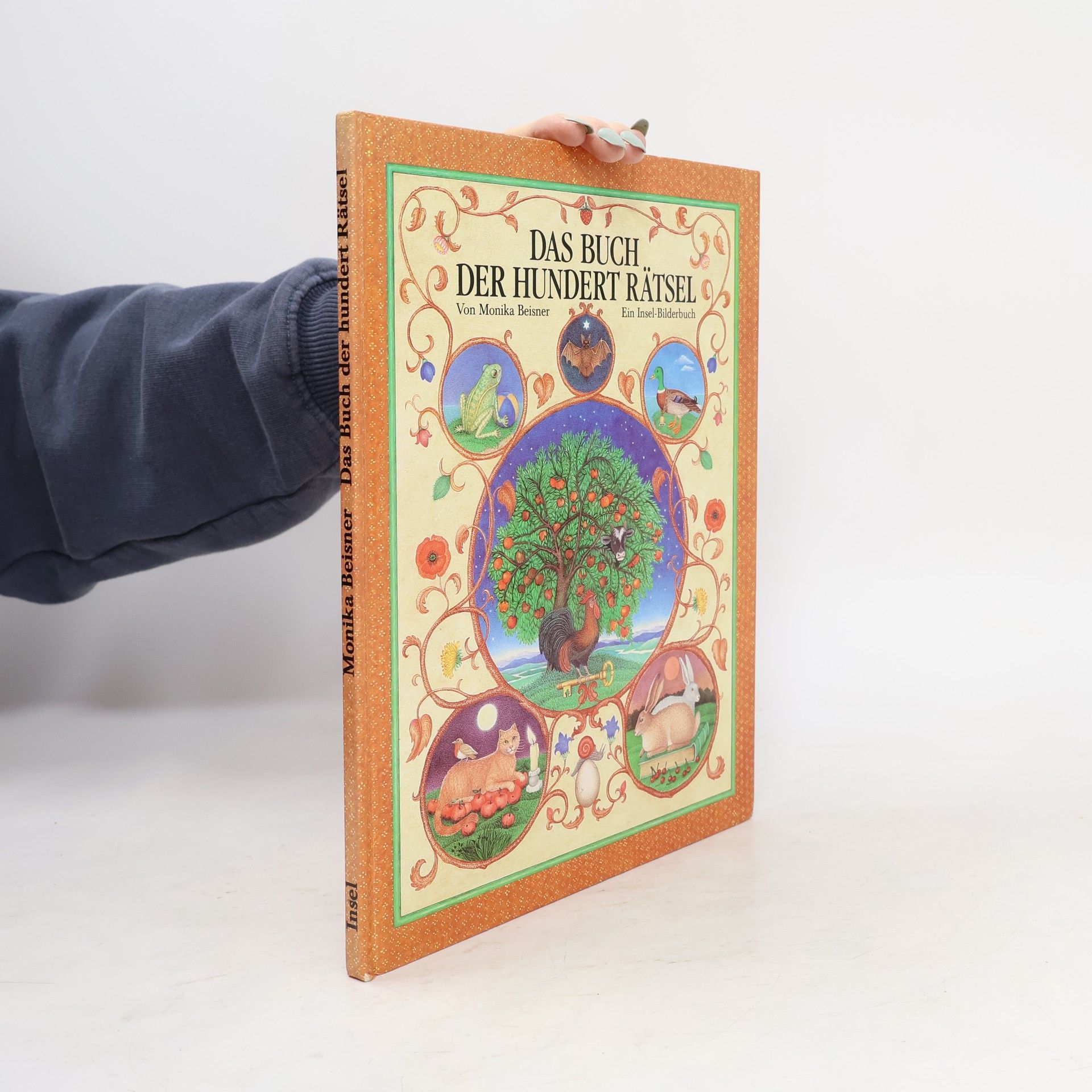 Das Buch der hundert Rätsel. Ein Insel-Bilderbuch