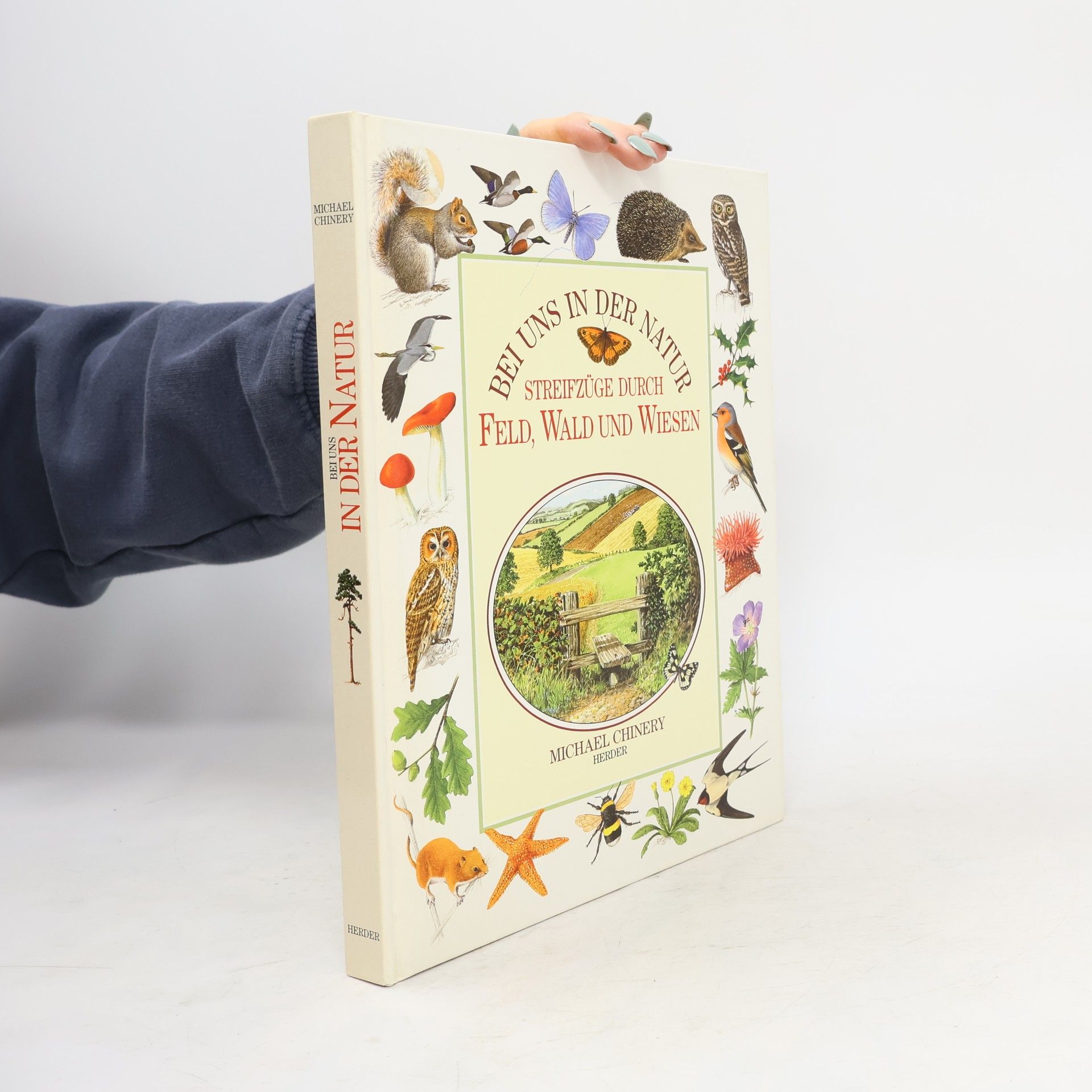 Michael Chinery Bei uns in der Natur