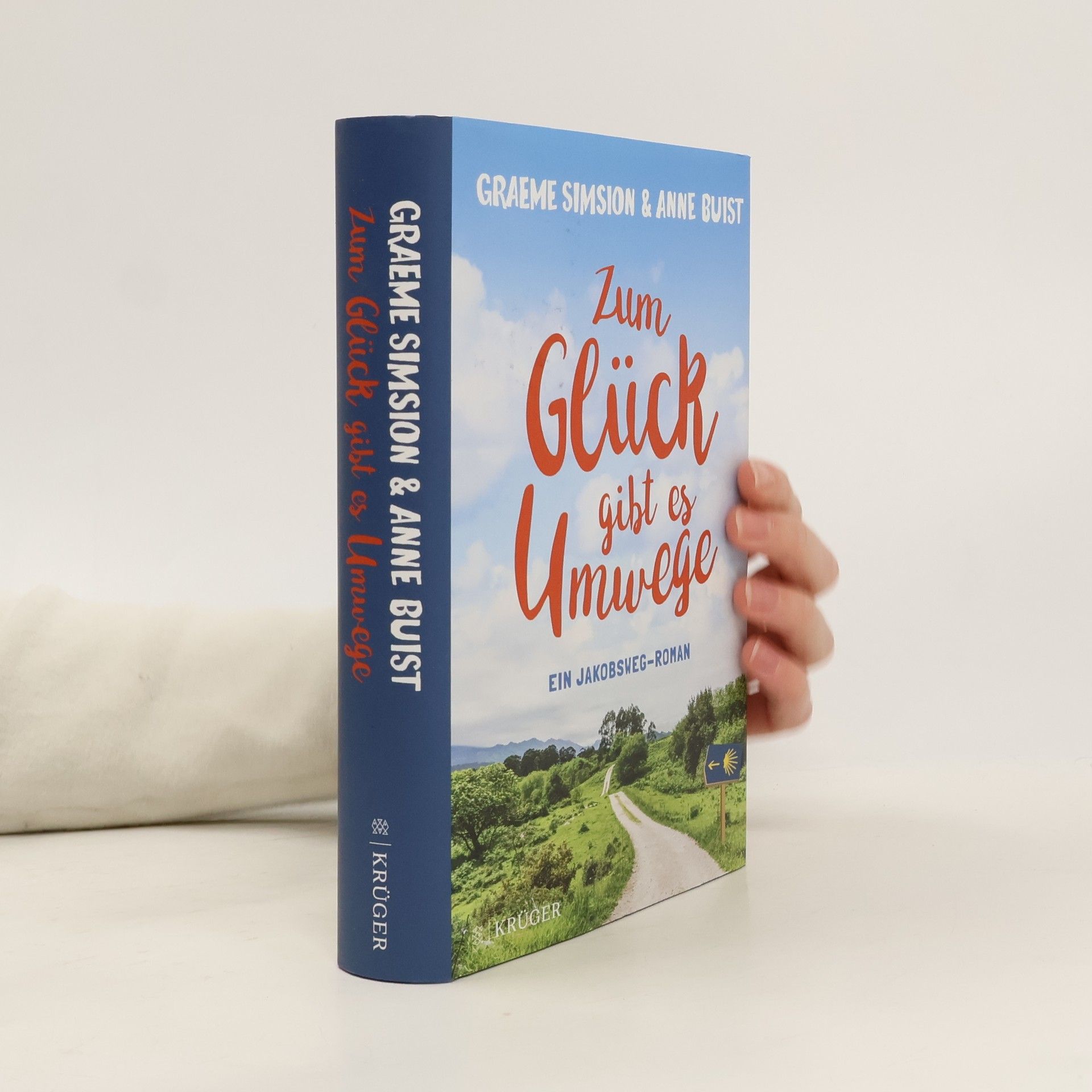 Graeme Simsion Zum Glück gibt es Umwege