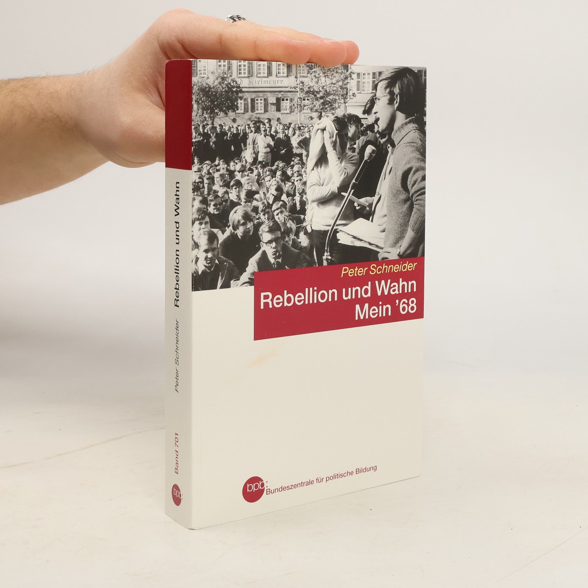 Peter K. Schneider Rebellion und Wahn