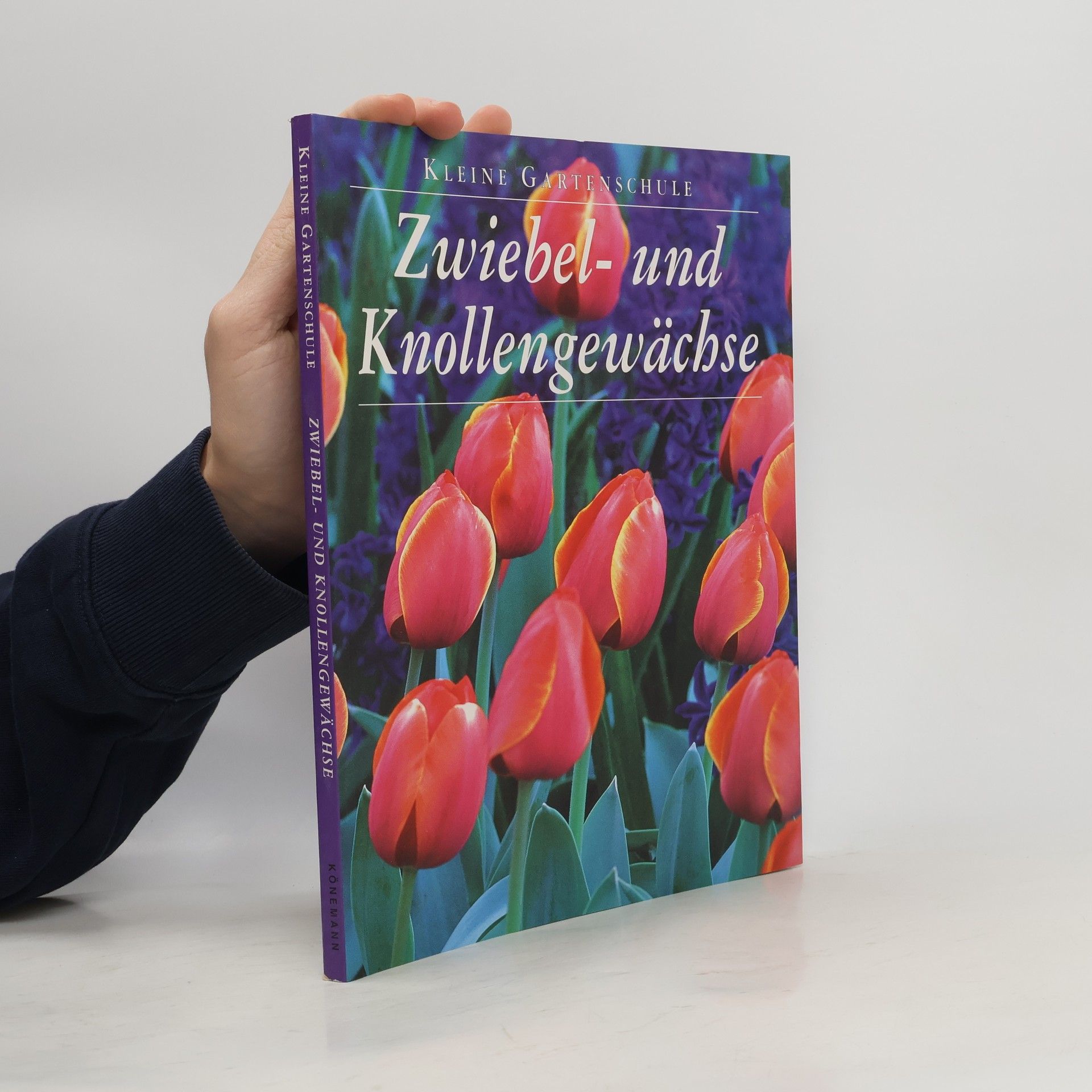 Zwiebel- und Knollengewächse