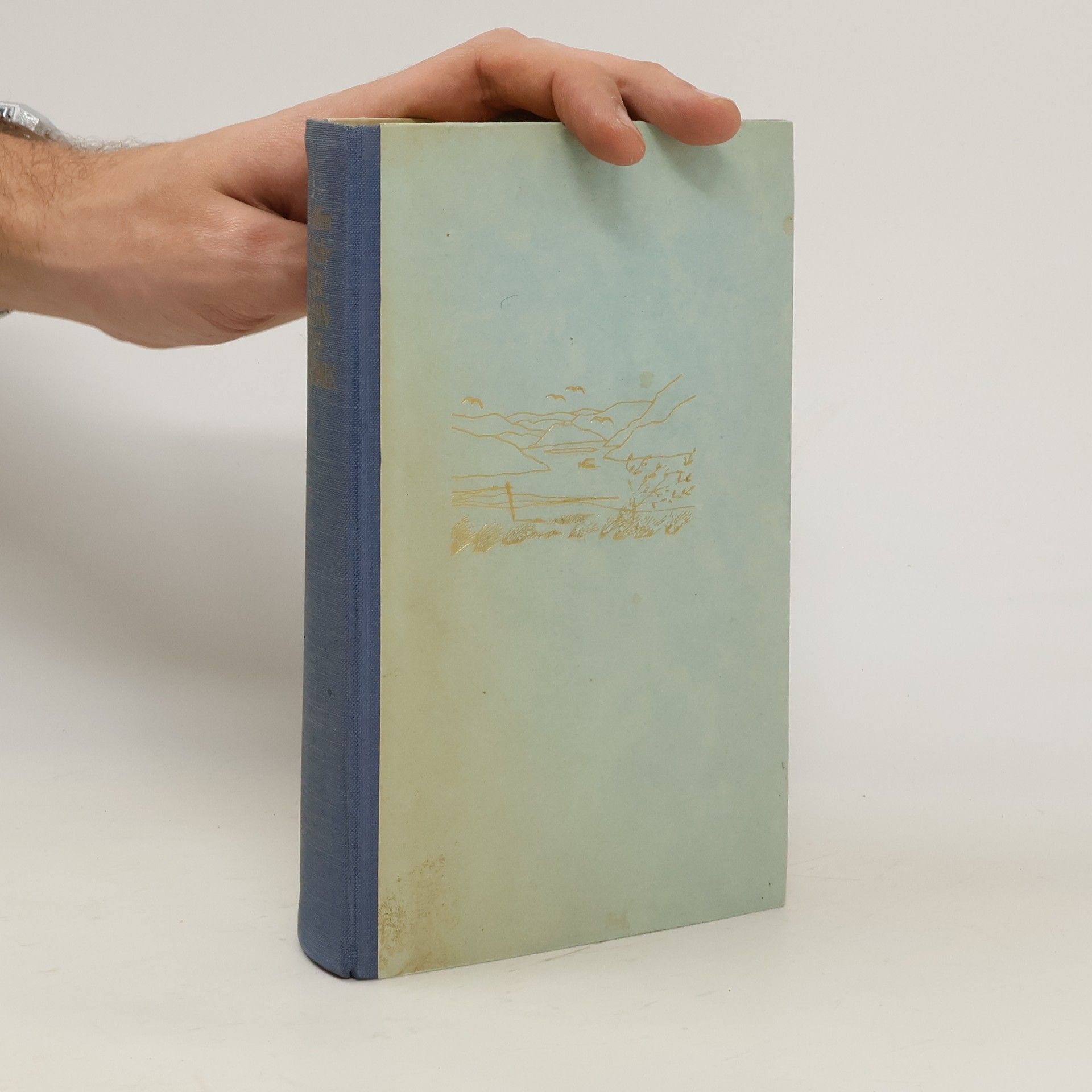 Der Sohn des Stromes