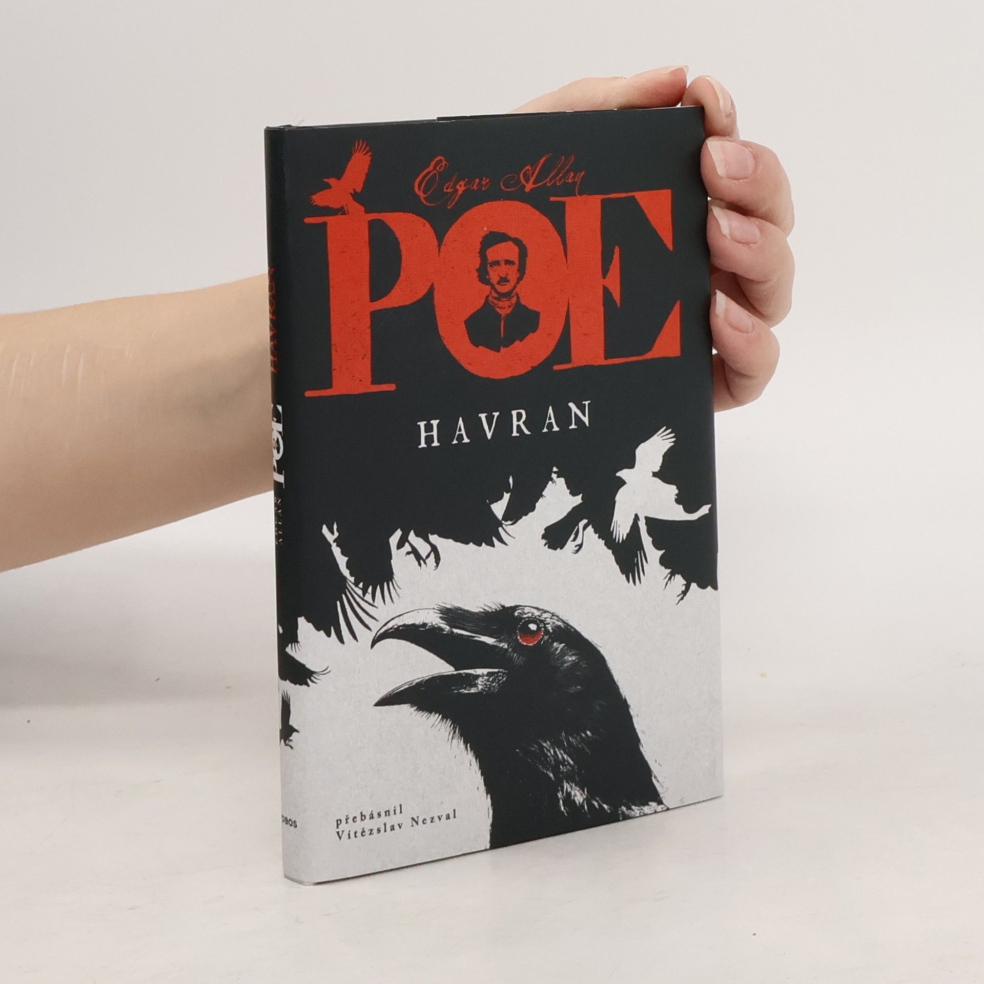 Havran a jiné básně