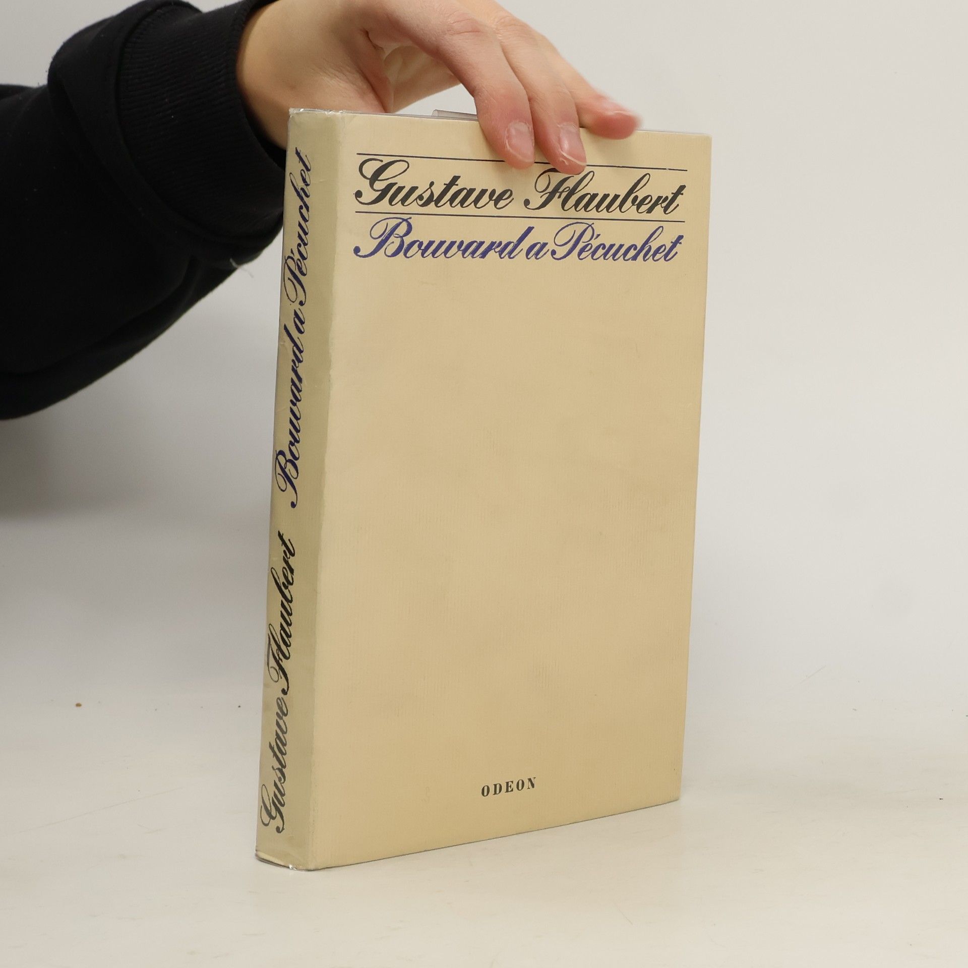 Gustave Flaubert Bouvard a Pécuchet