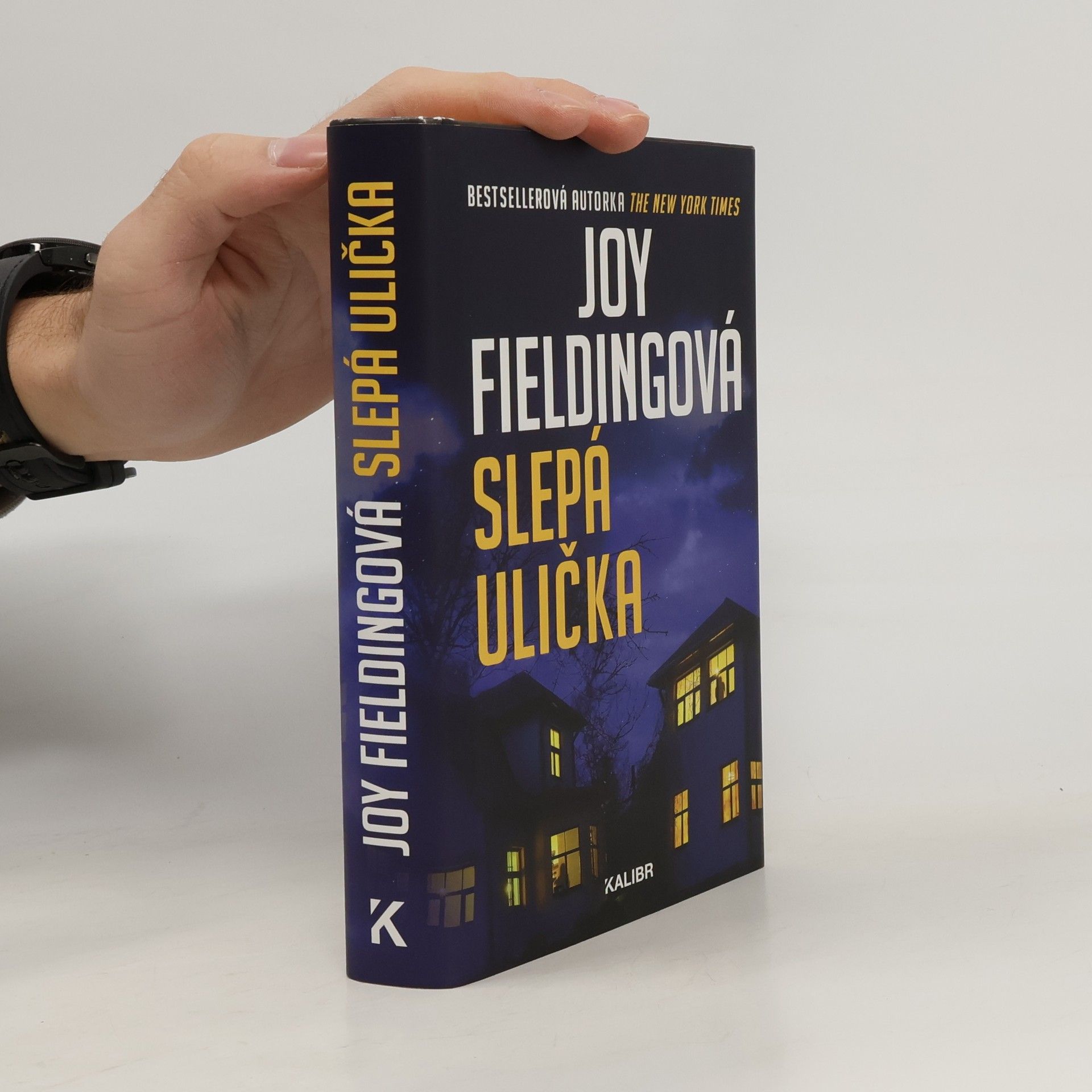 Joy Fielding Slepá ulička