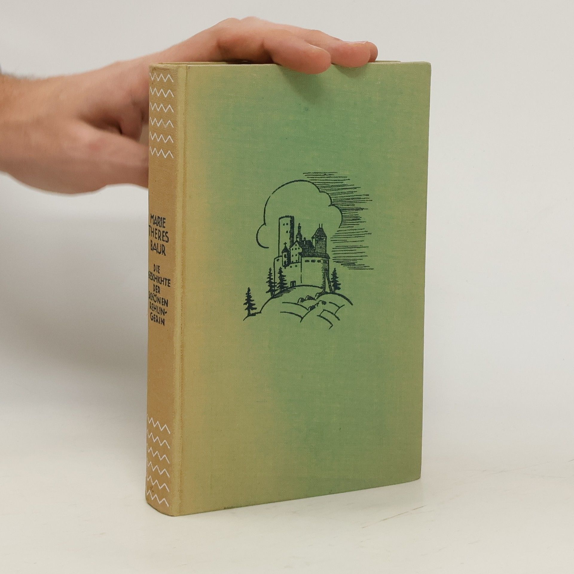 Marie Theres Baur Die Geschichte der schönen Rehlingerin