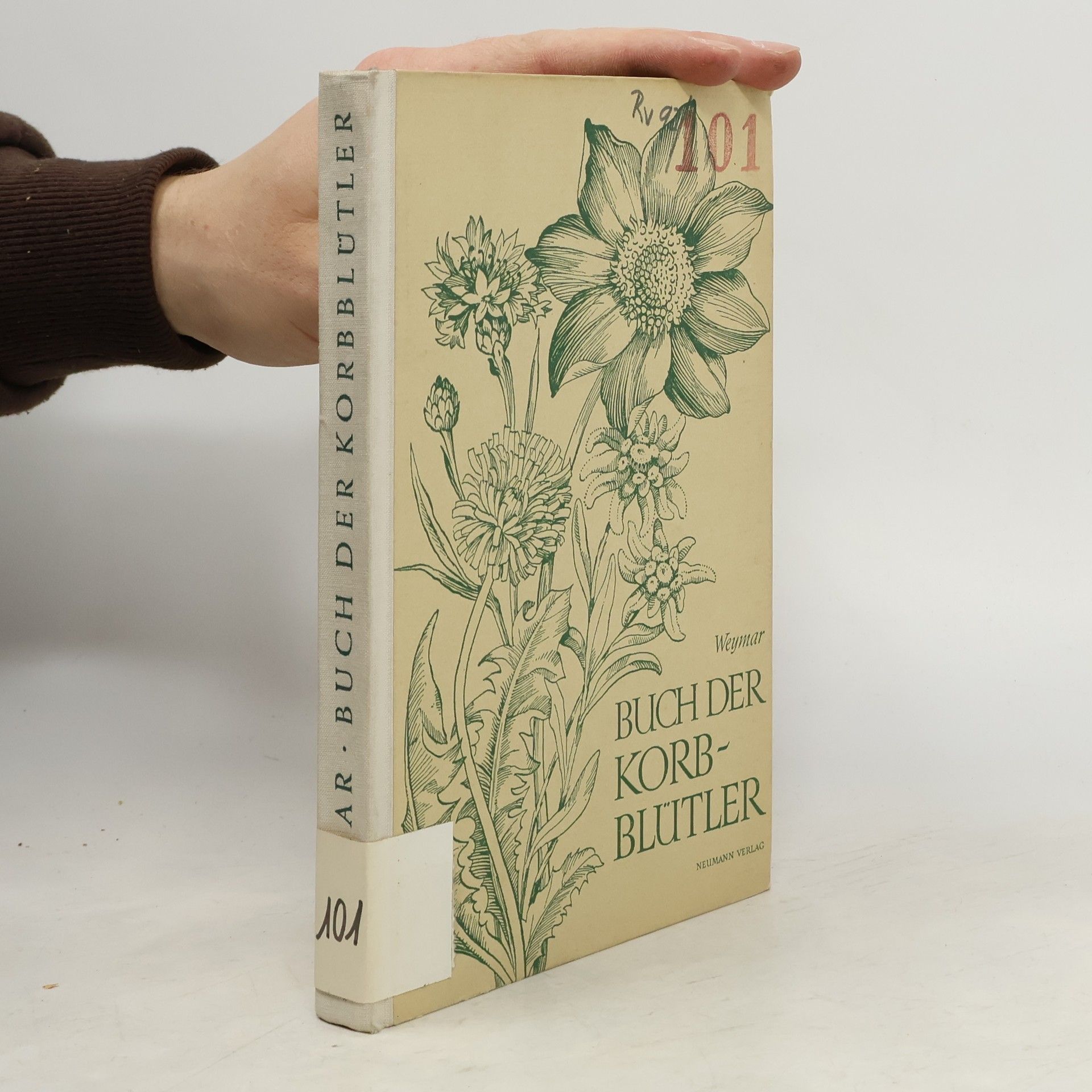 Buch der Korbblütler