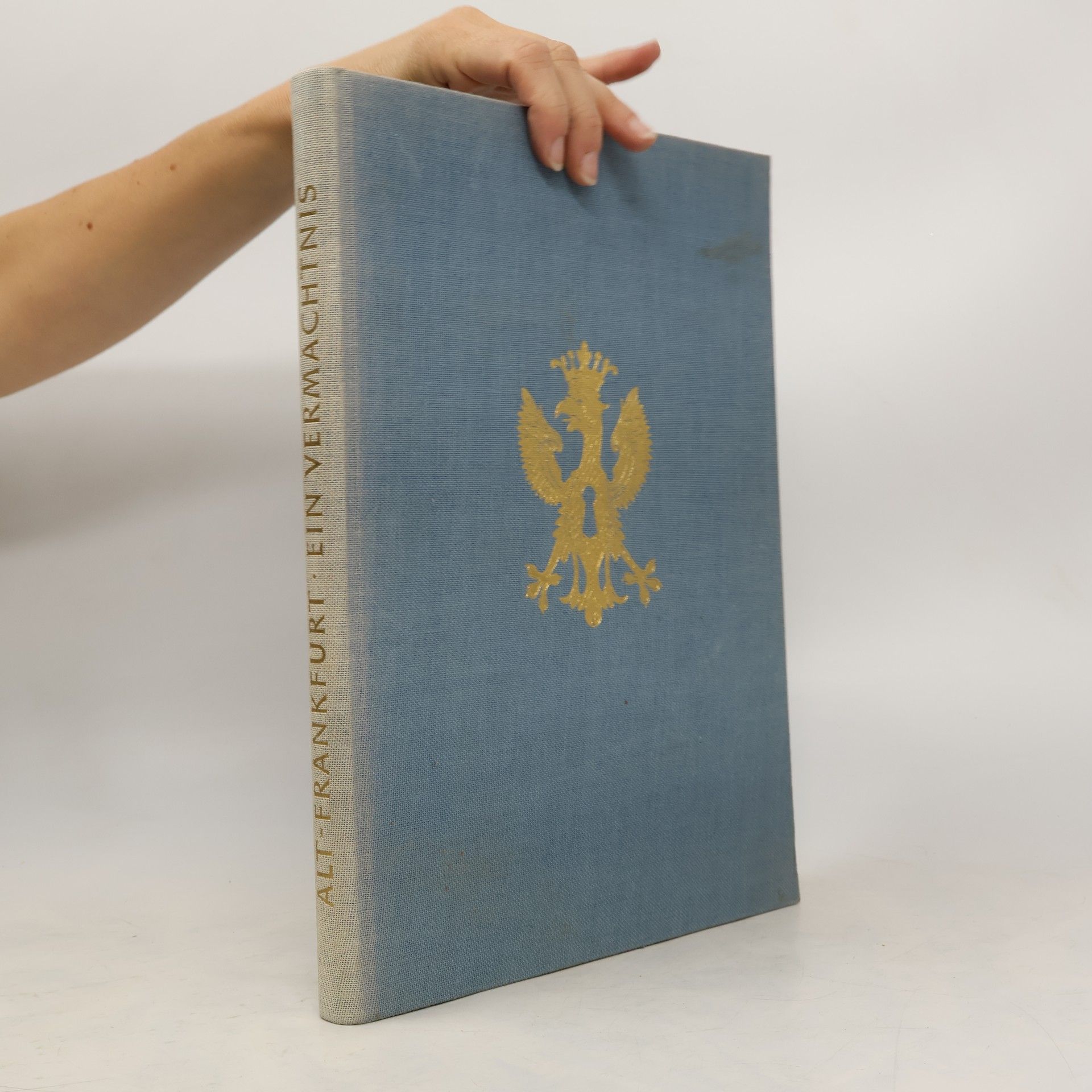 Georg Harmann Alt-Frankfurt. Ein Vermächtnis