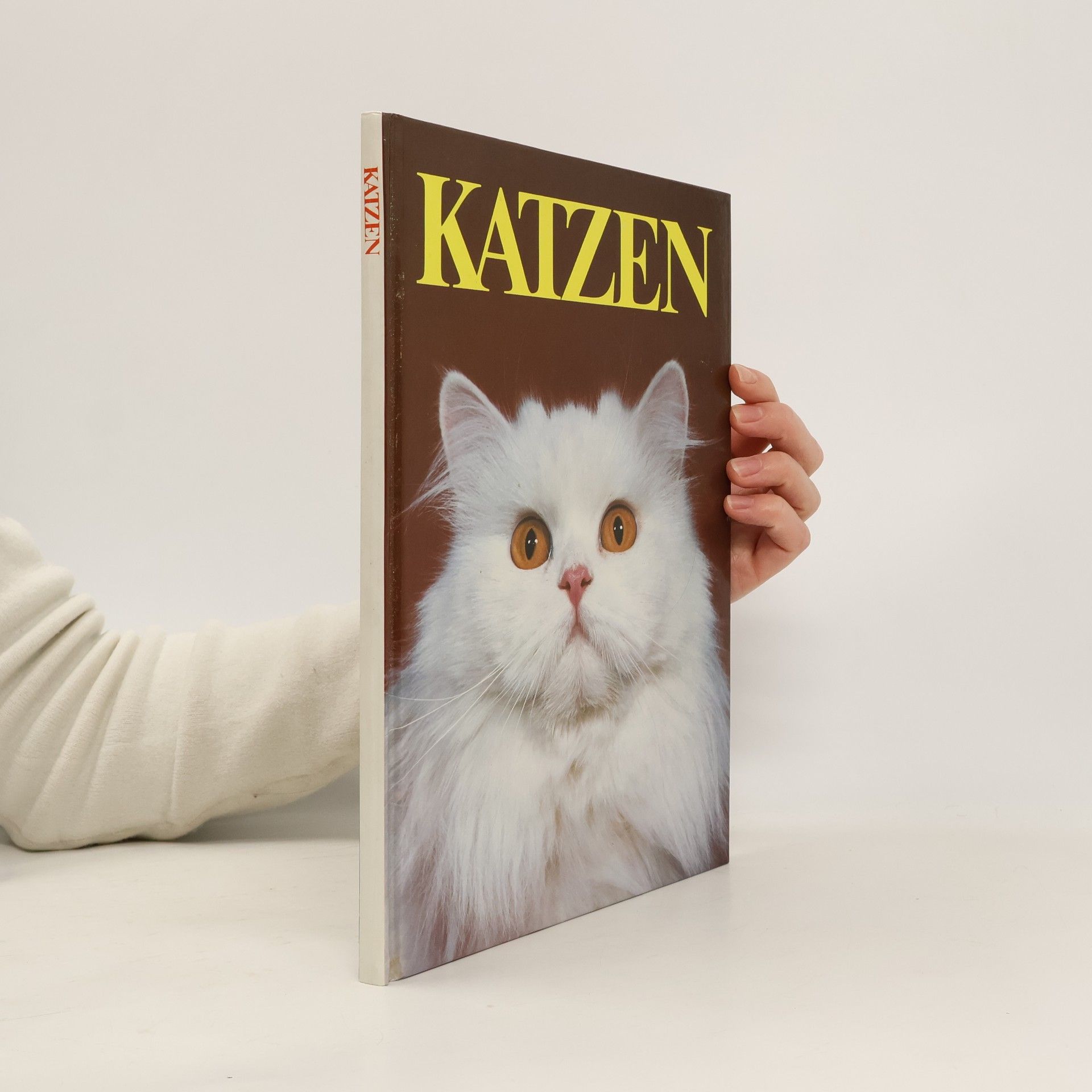 Autorenkollektiv Katzen