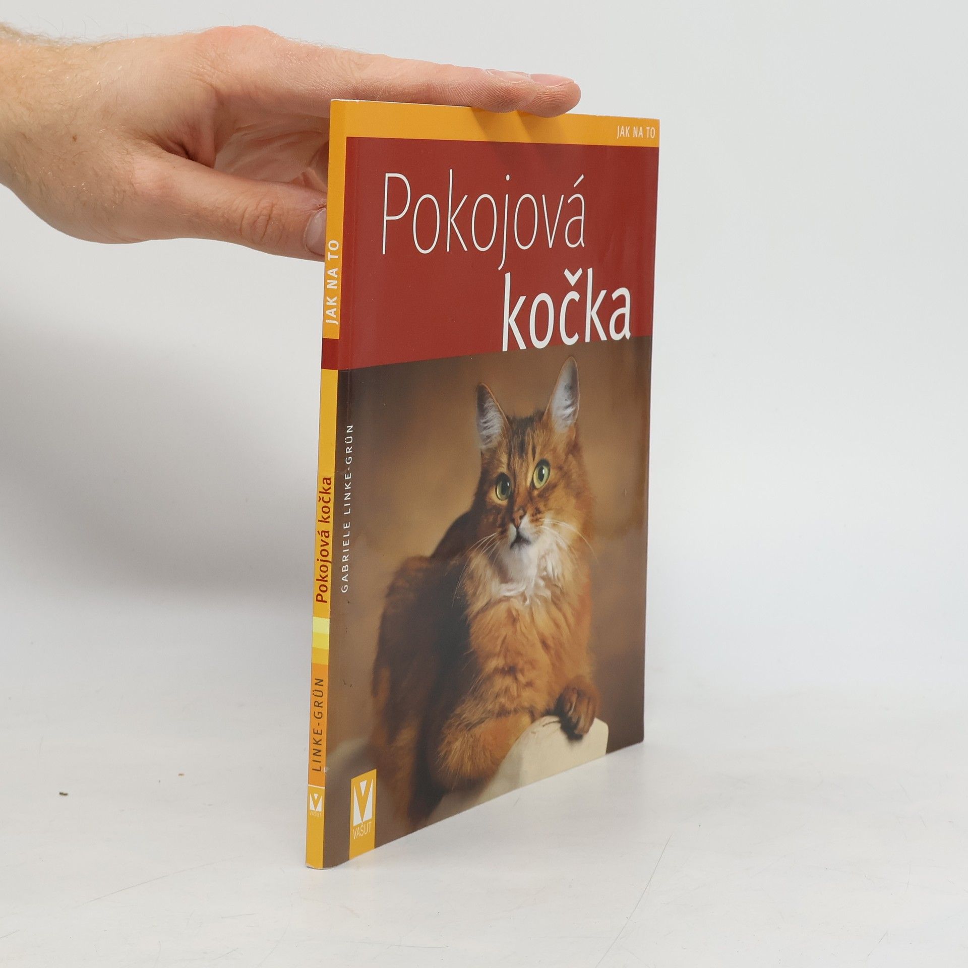 Gabriele LinkeGrün Pokojová kočka