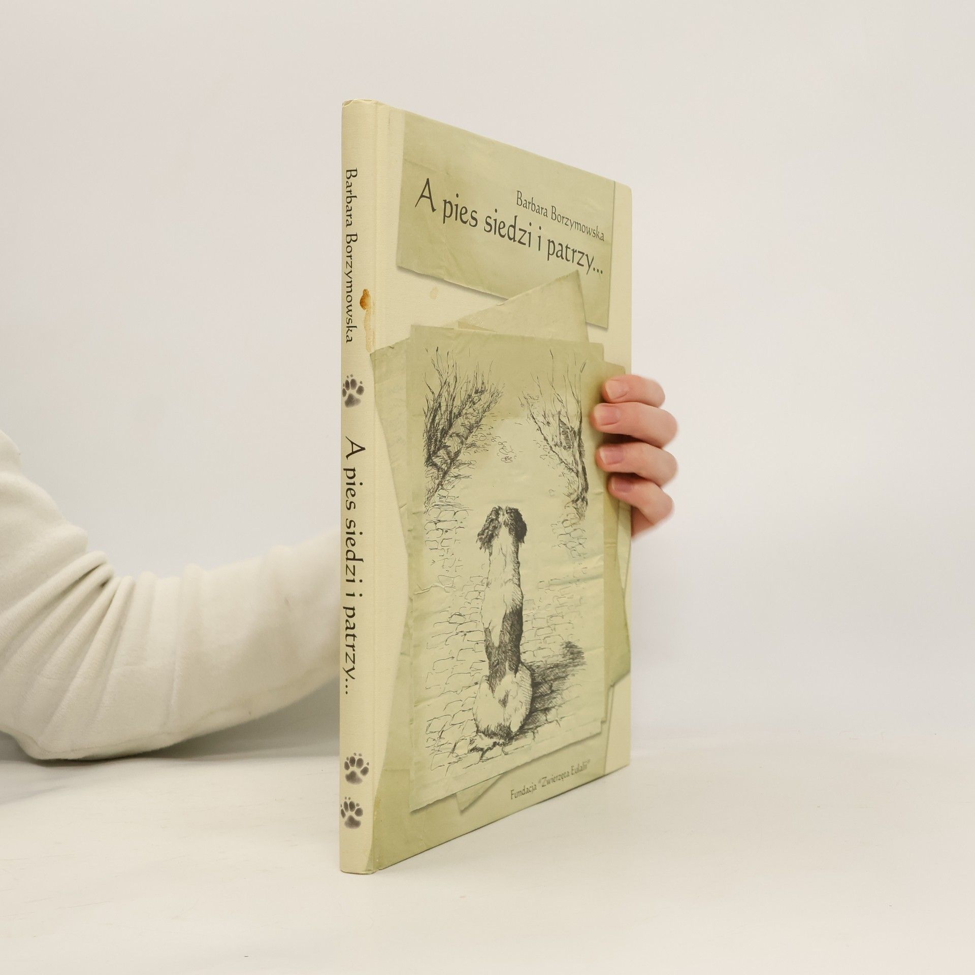 A pies siedzi i patrzy...