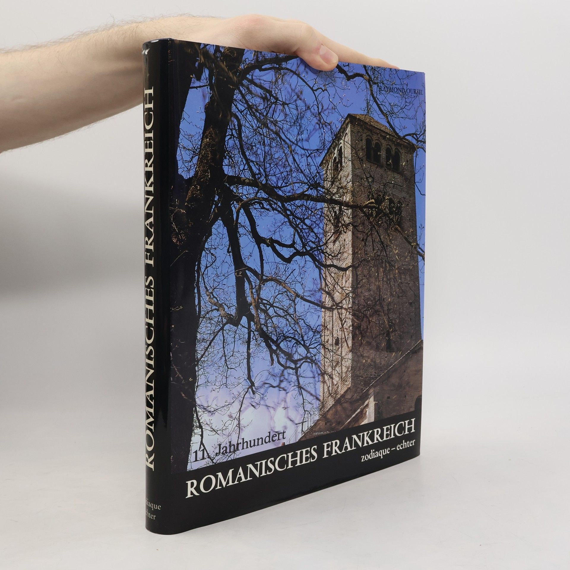 Raymond Oursel Romanisches Frankreich. 11. Jahrhundert