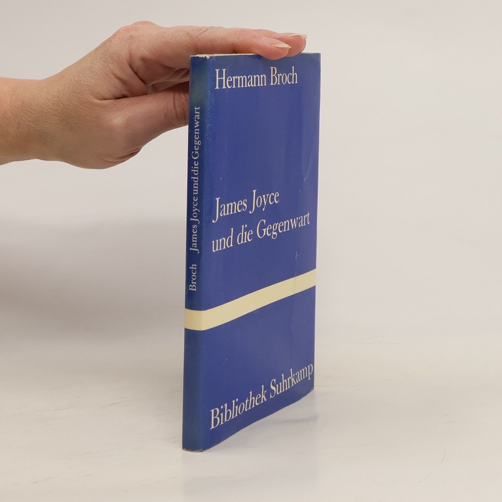 Hermann Broch James Joyce und die Gegenwart