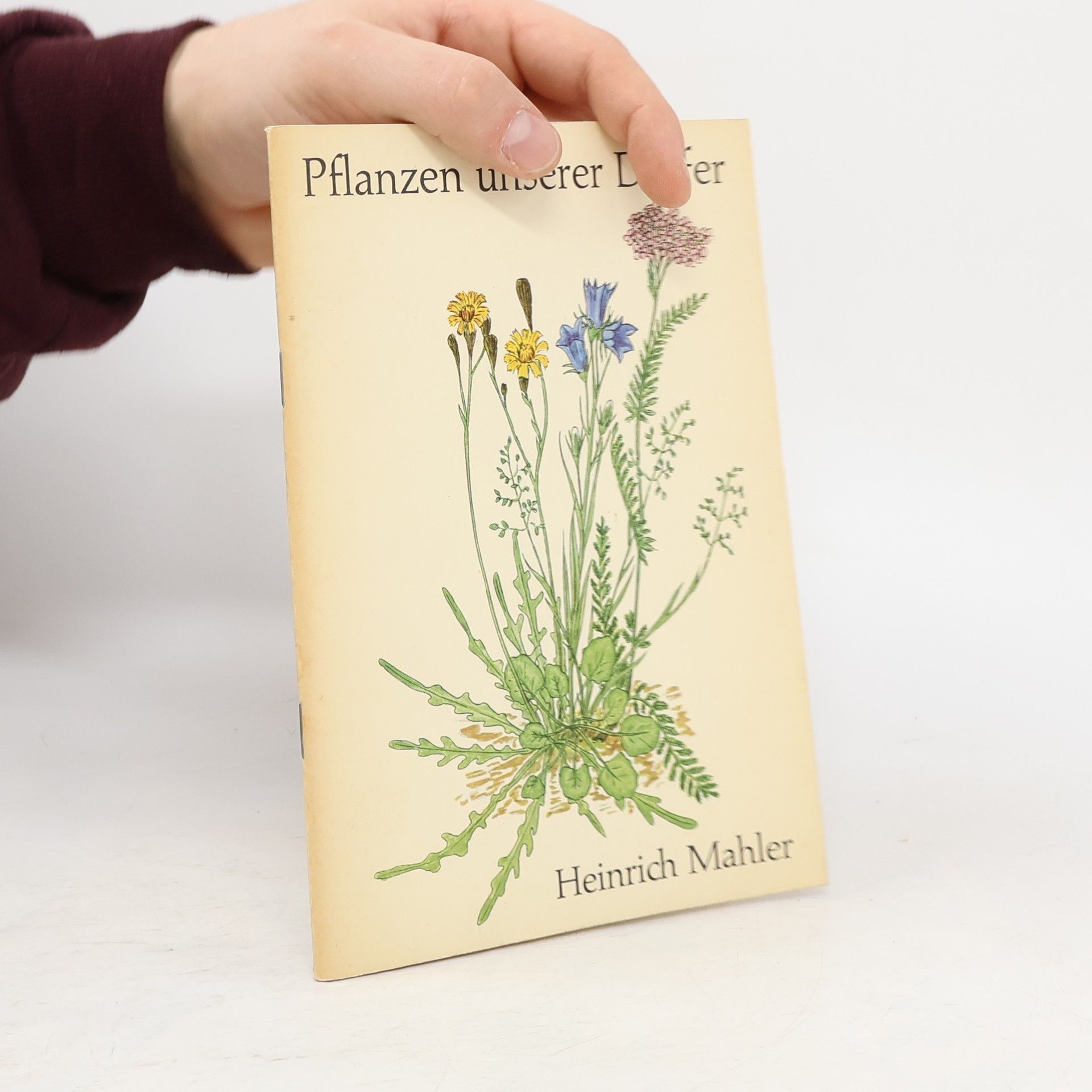Pflanzen der Heimat II. II. Pflanzen unserer Dörfer