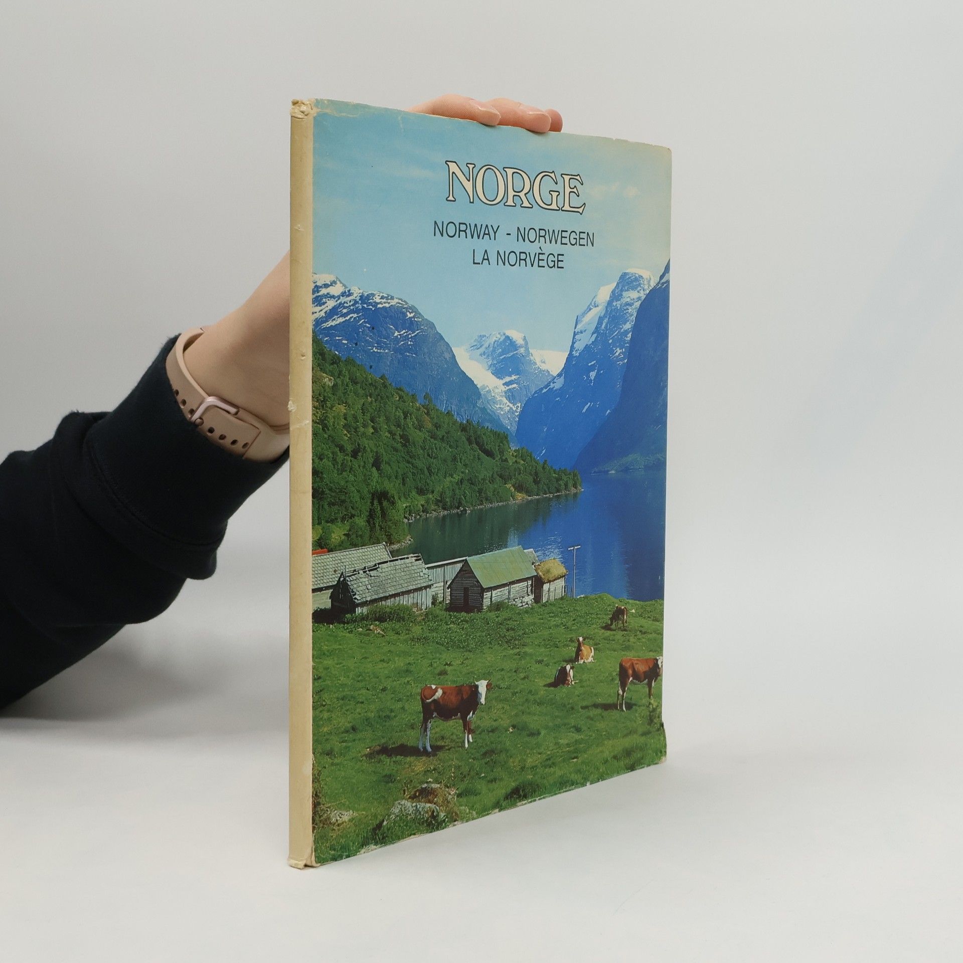 Autores varios Norge. Norway. Norwegen. La Norvege