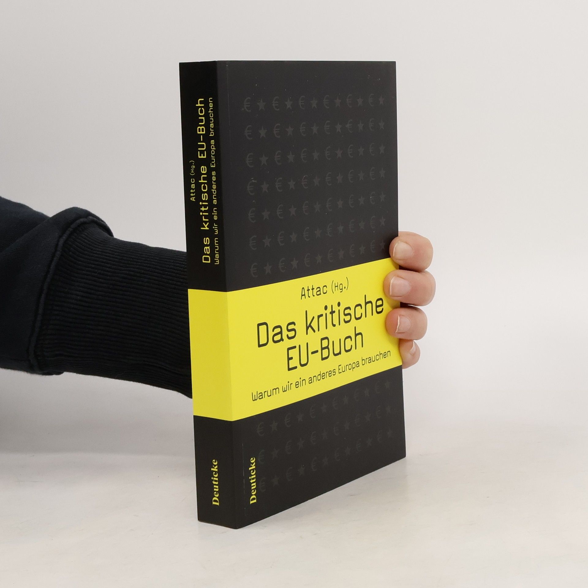 Kolektiv autorů Das kritische EU-Buch