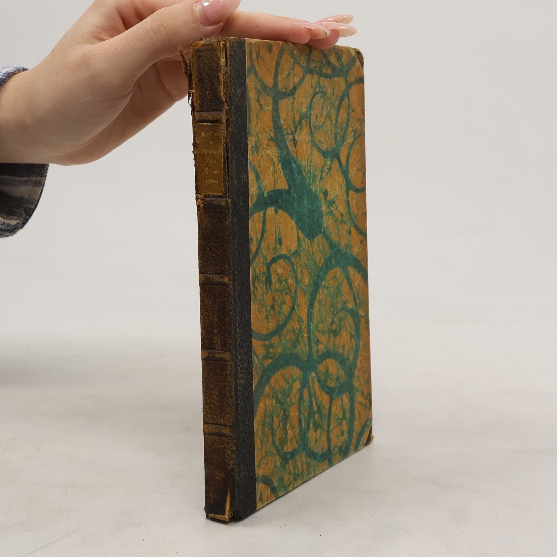 Gottfried Keller Spiegel, das Rätzchen Ein Märchen