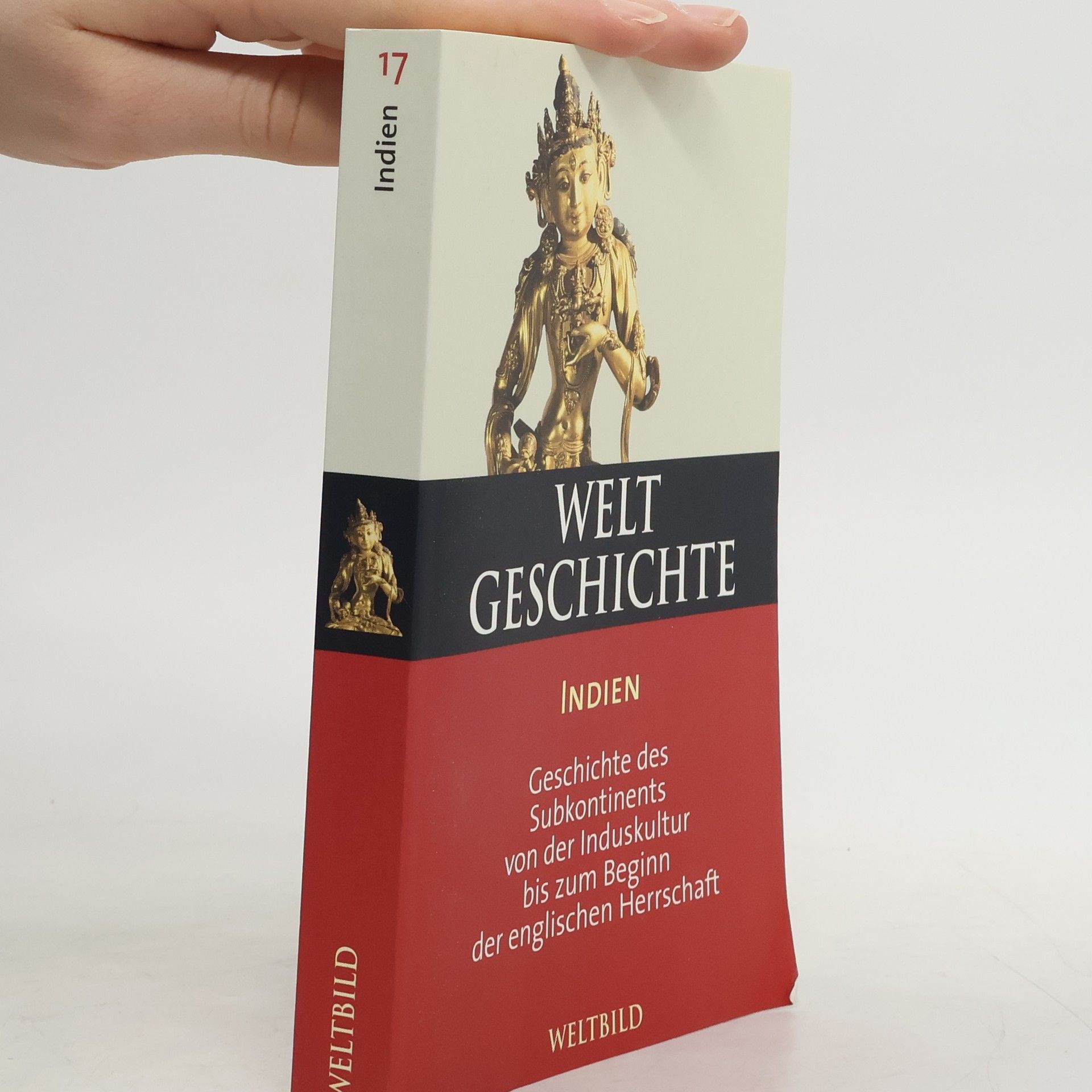 Welt Geschichte. Indien