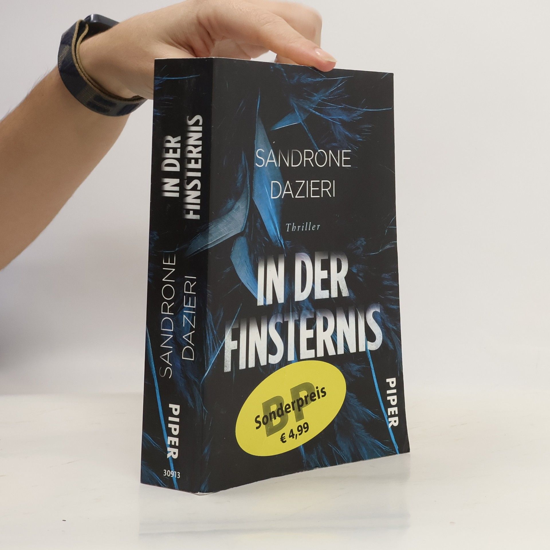 Sandrone Dazieri In der Finsternis