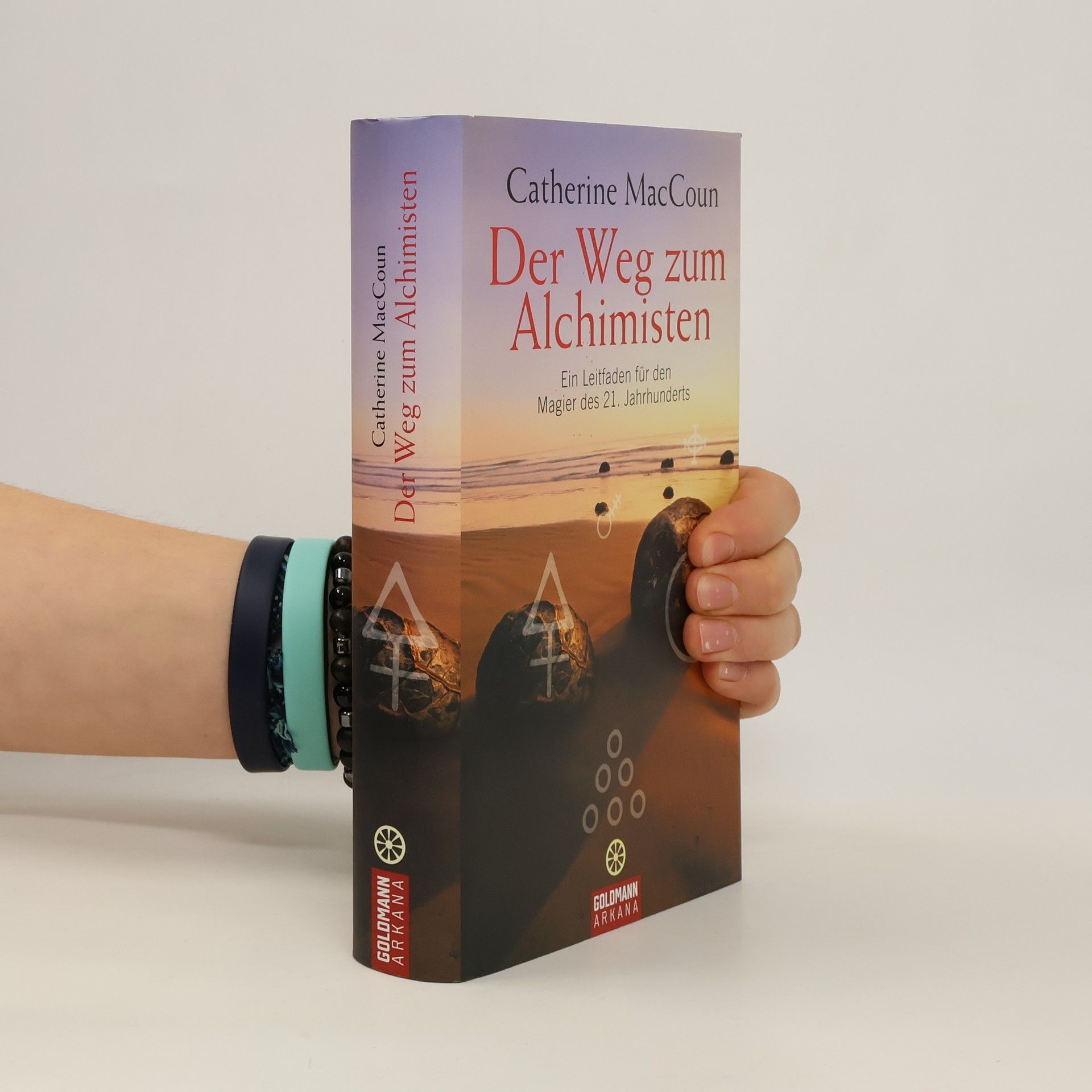 Catherine MacCoun Der Weg zum Alchimisten