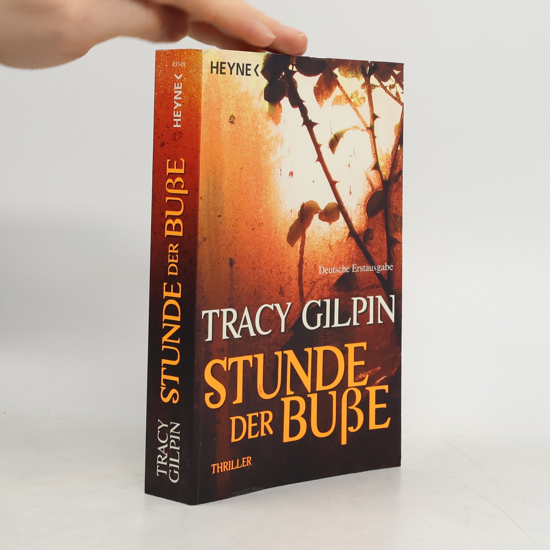 Tracy Gilpin Stunde der Buße