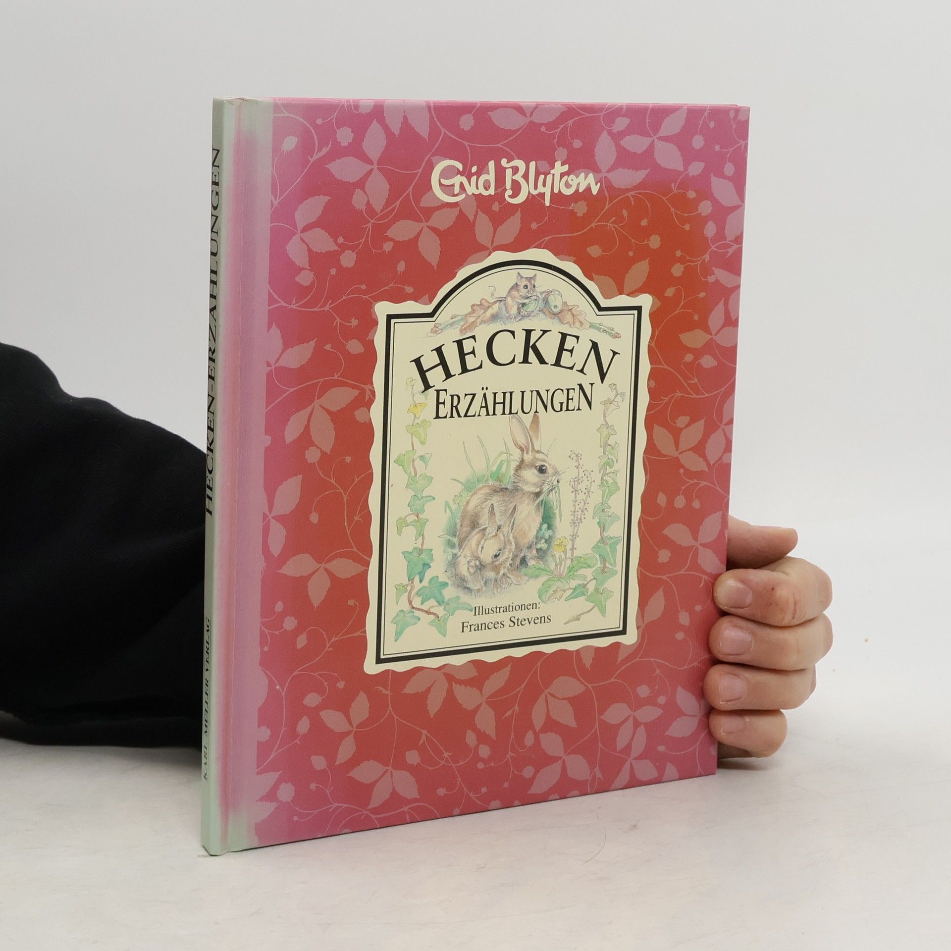 Enid Blyton Heckenerzählungen