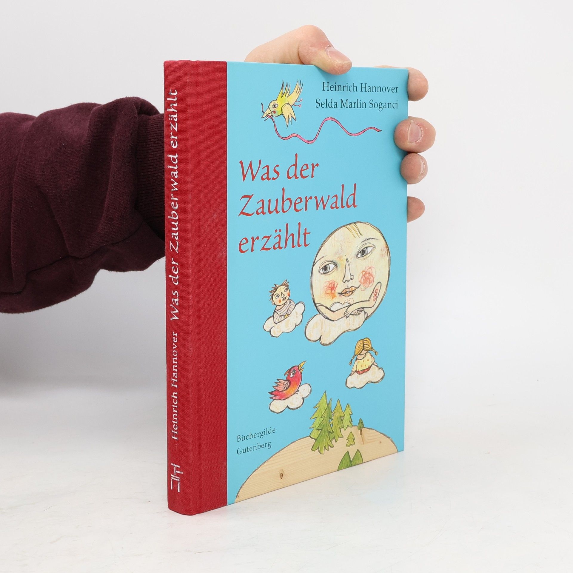 Was der Zauberwald erzählt