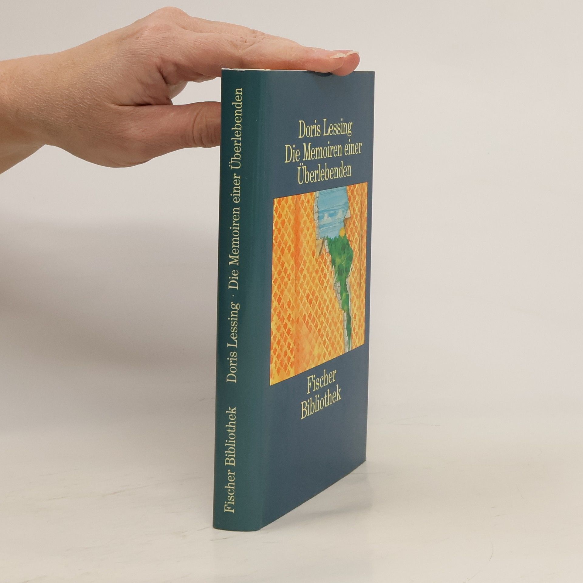 Doris Lessing Die Memoiren einer Überlebenden