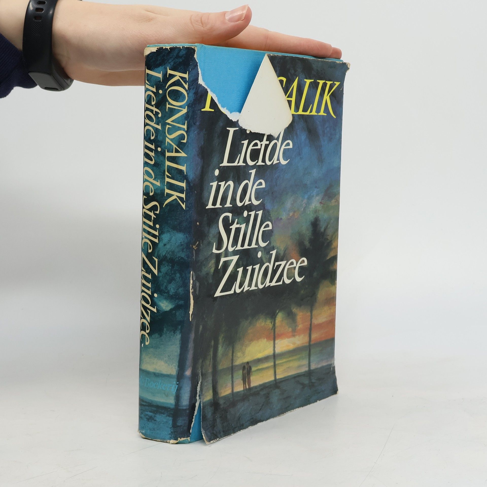 Pieter Grashoff Liefde in de Stille Zuidzee