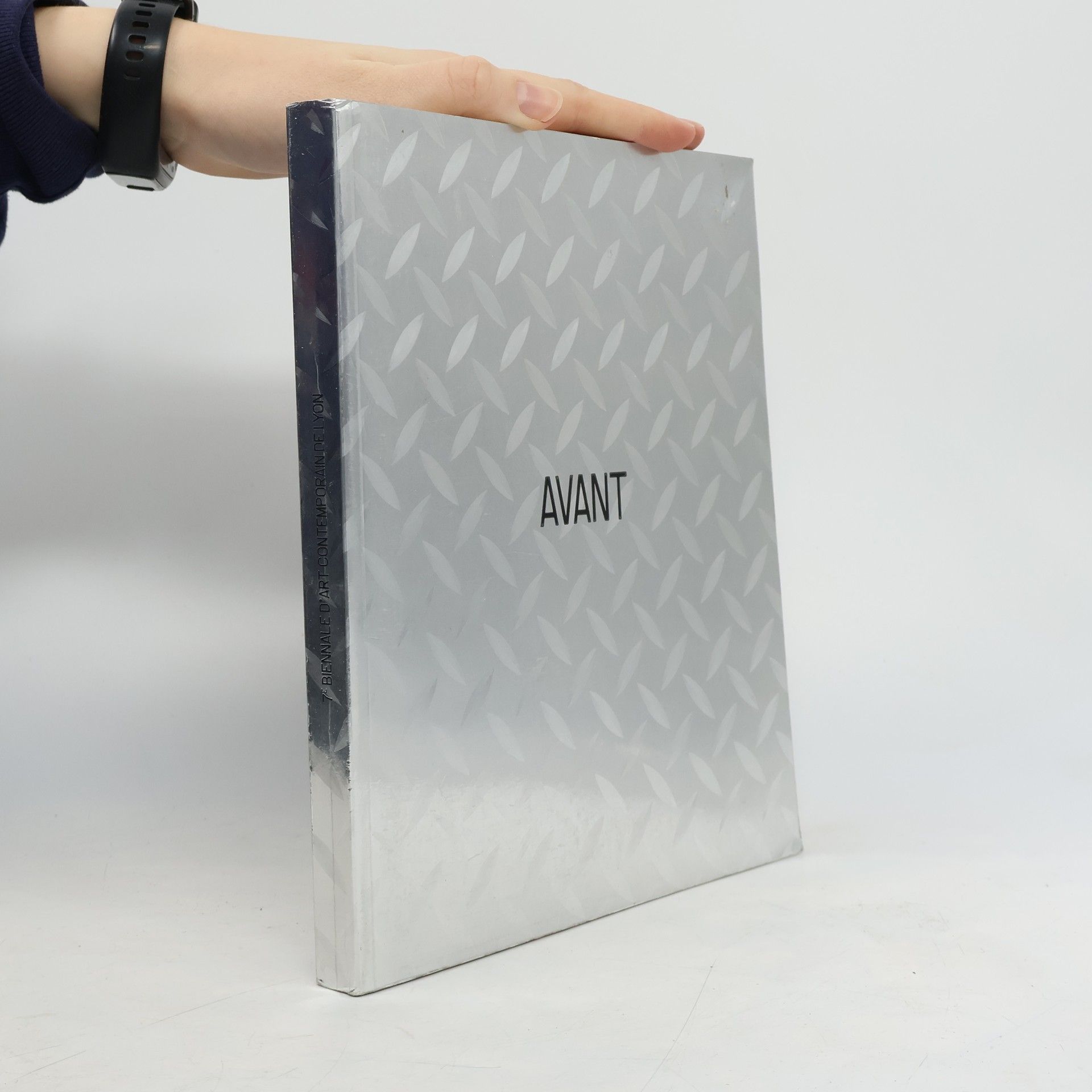 Xavier Pontegnie Anne Douroux 7ème Biennale d'art contemporain de Lyon