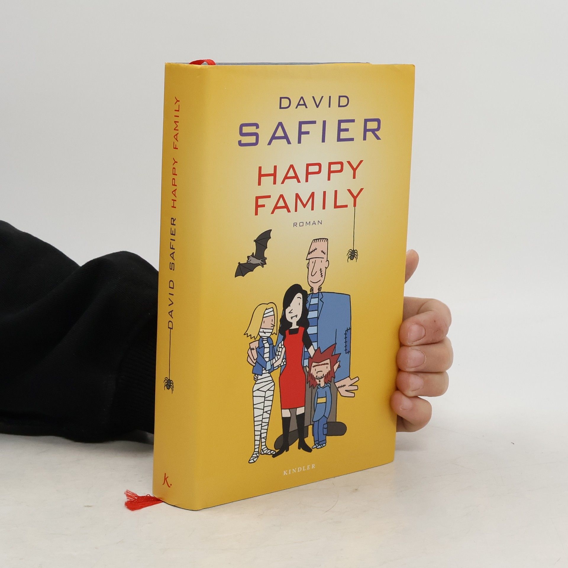 David Safier Happy Family