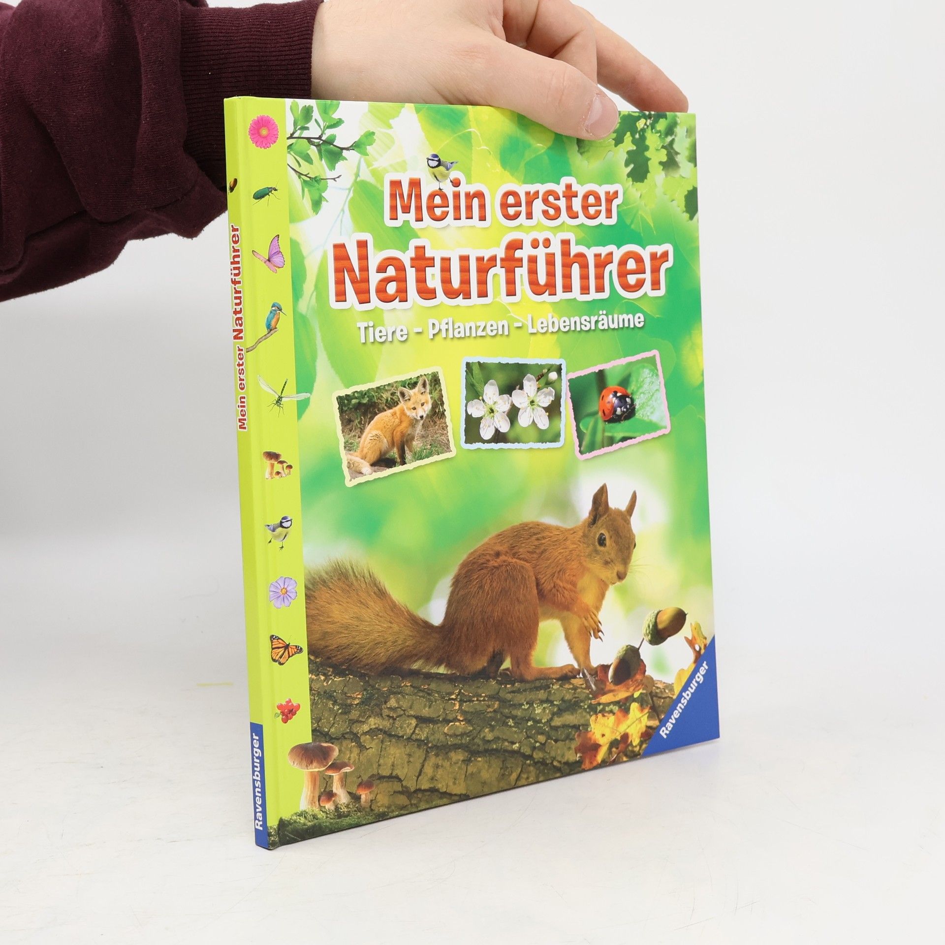 Angelika Lenz Mein erster Naturführer