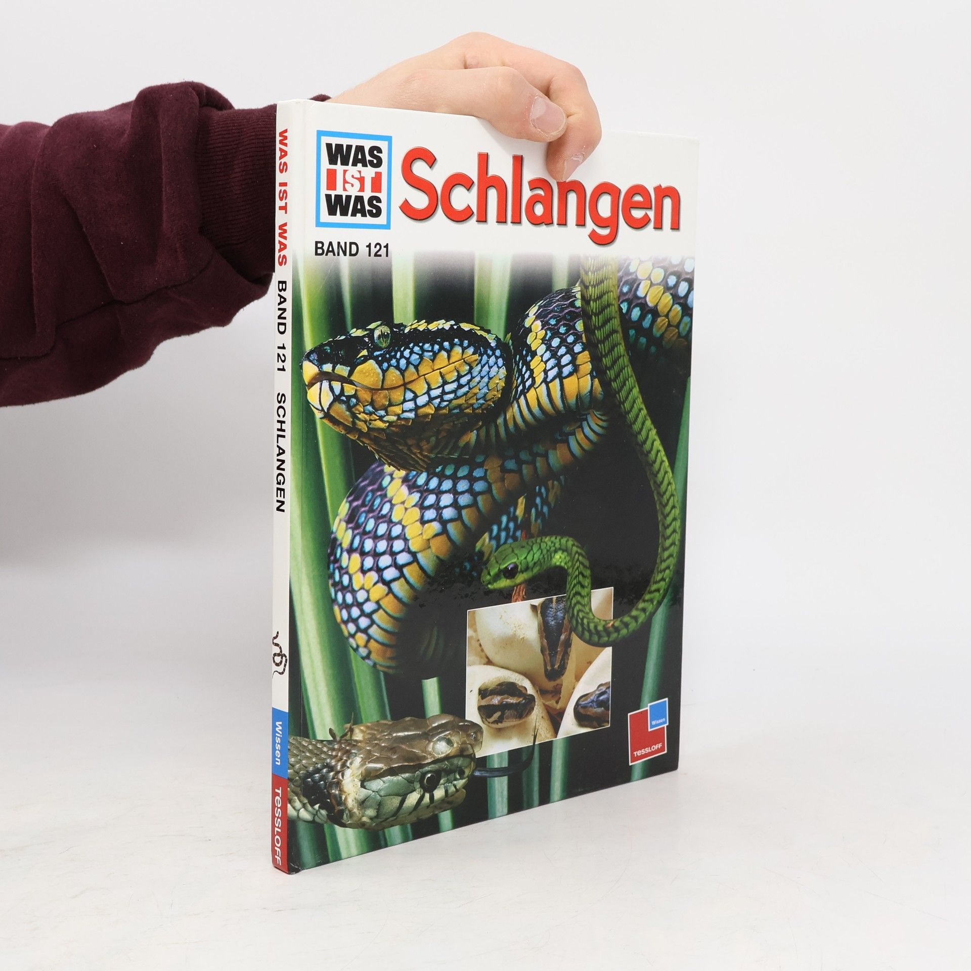 Dietmar Mertens Schlangen