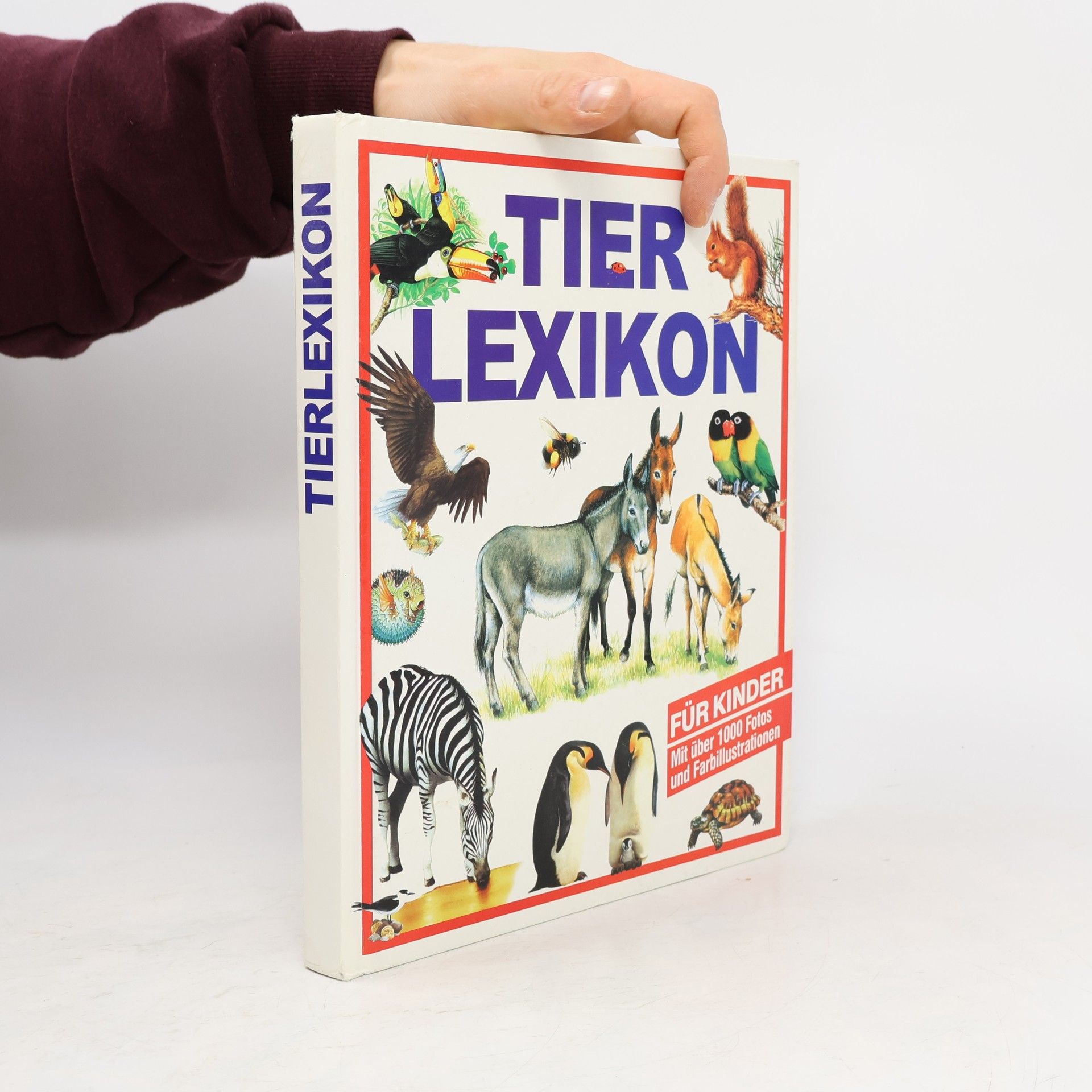 Eva Schweikart Mein erstes Tierlexikon