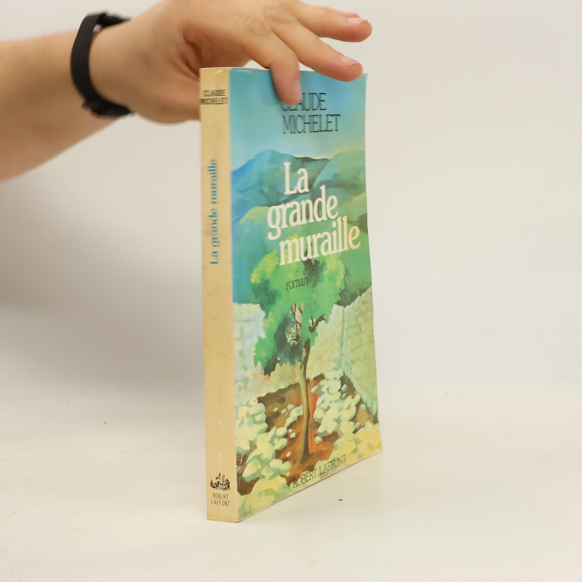 Claude Michelet La Grande Muraille