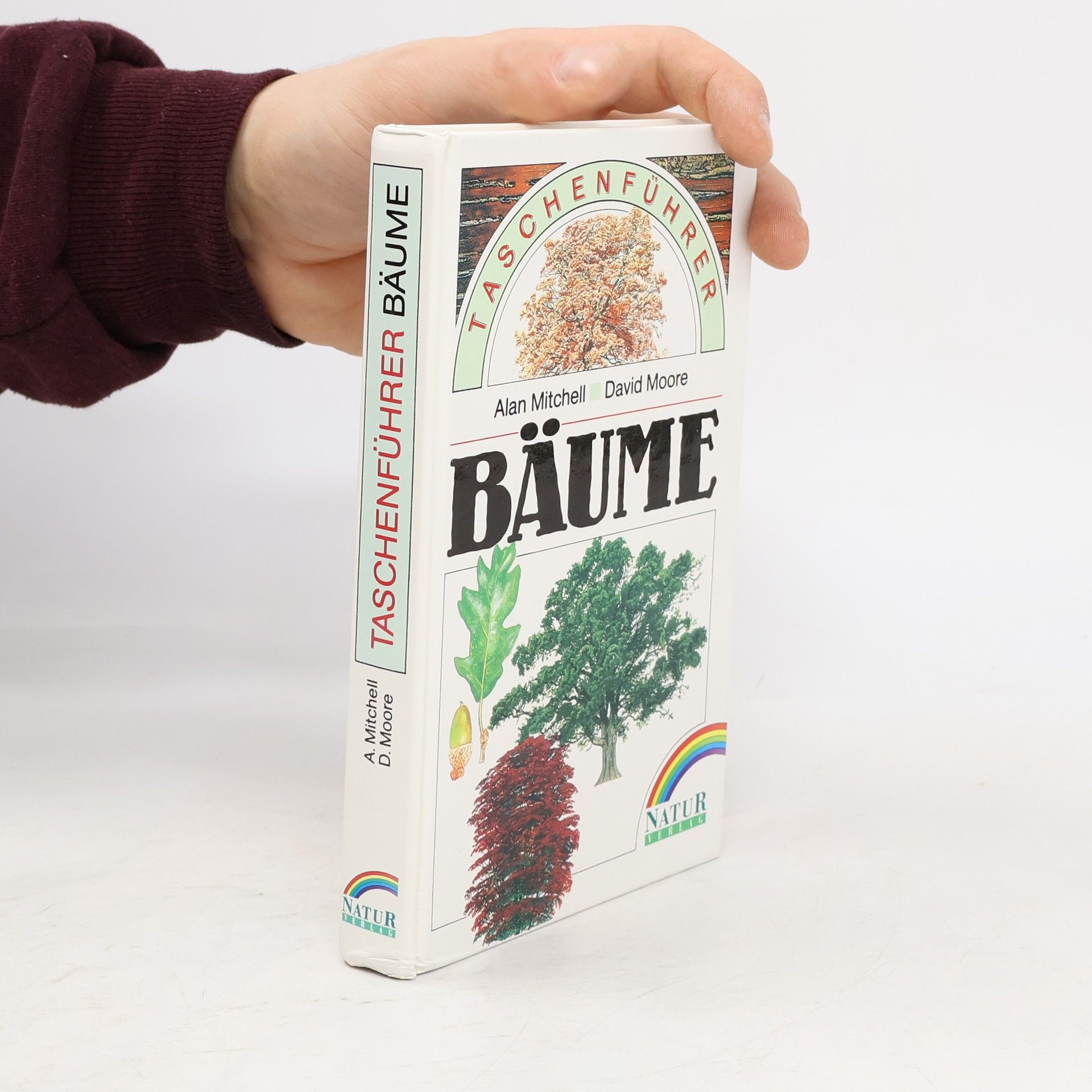 Alan Mitchell  Taschenführer Bäume