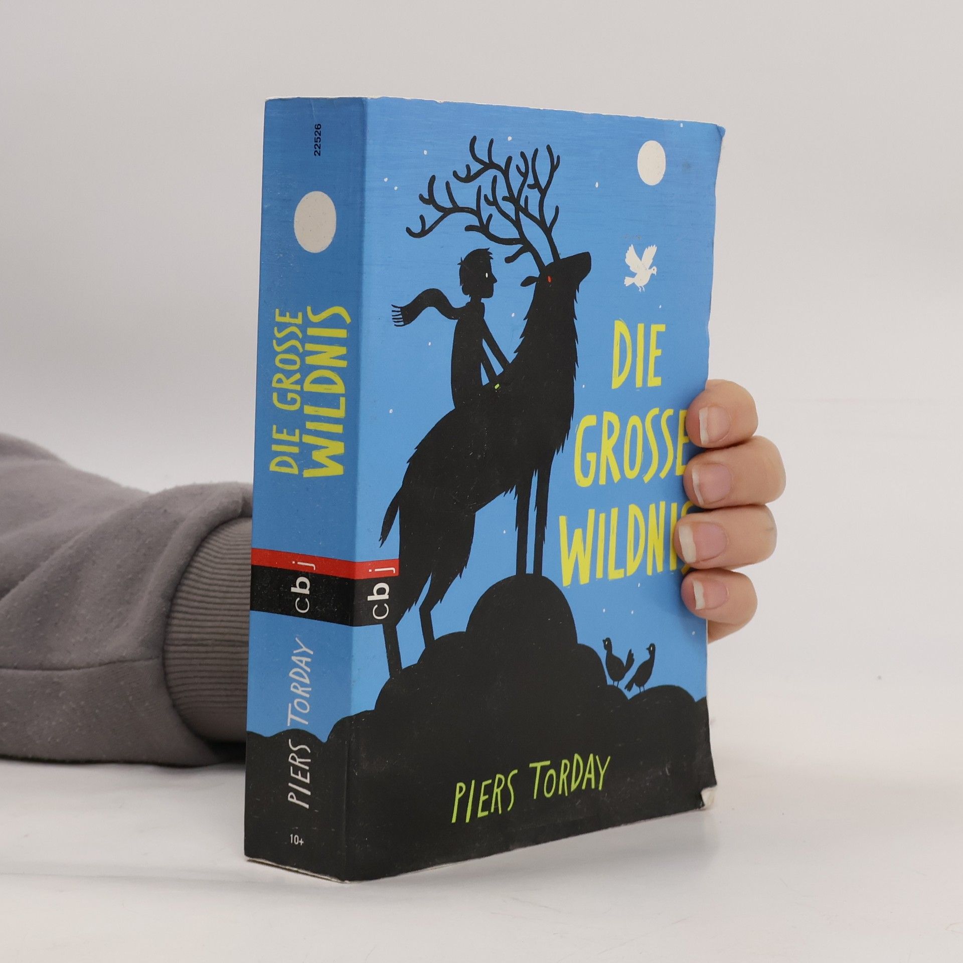 Piers Torday Die große Wildnis