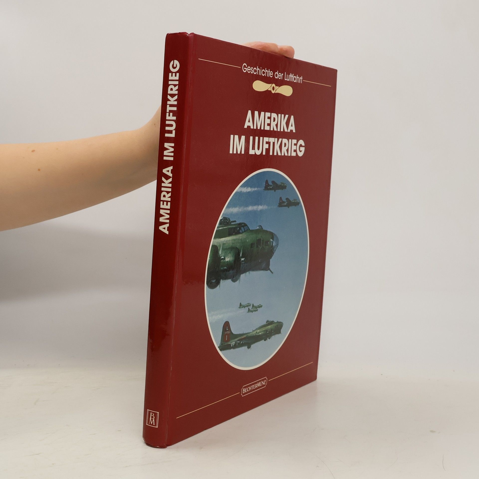 Amerika im Luftkrieg