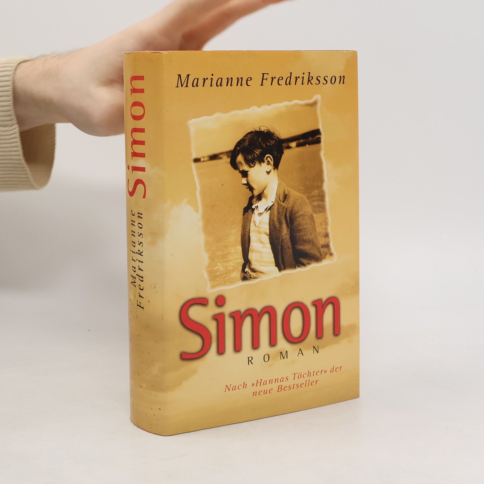 Clemens Laar Meines Vaters Pferde