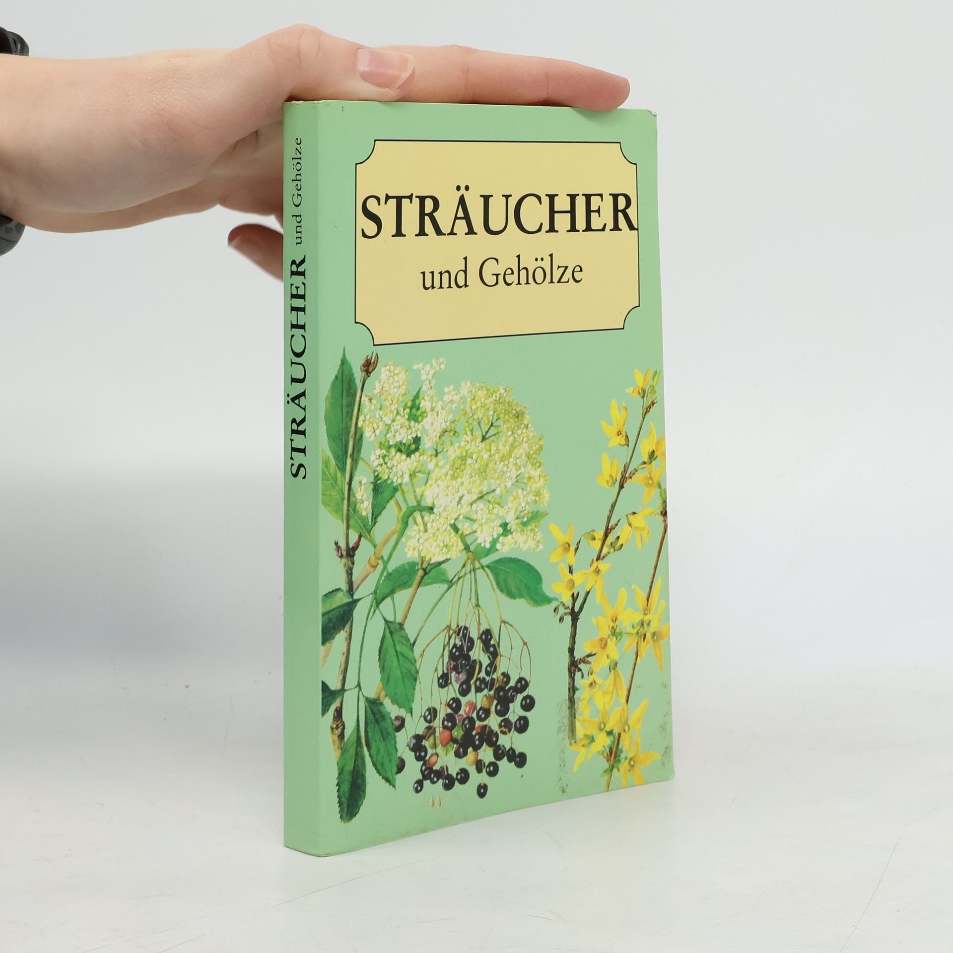 Straeucher und Gehoelze