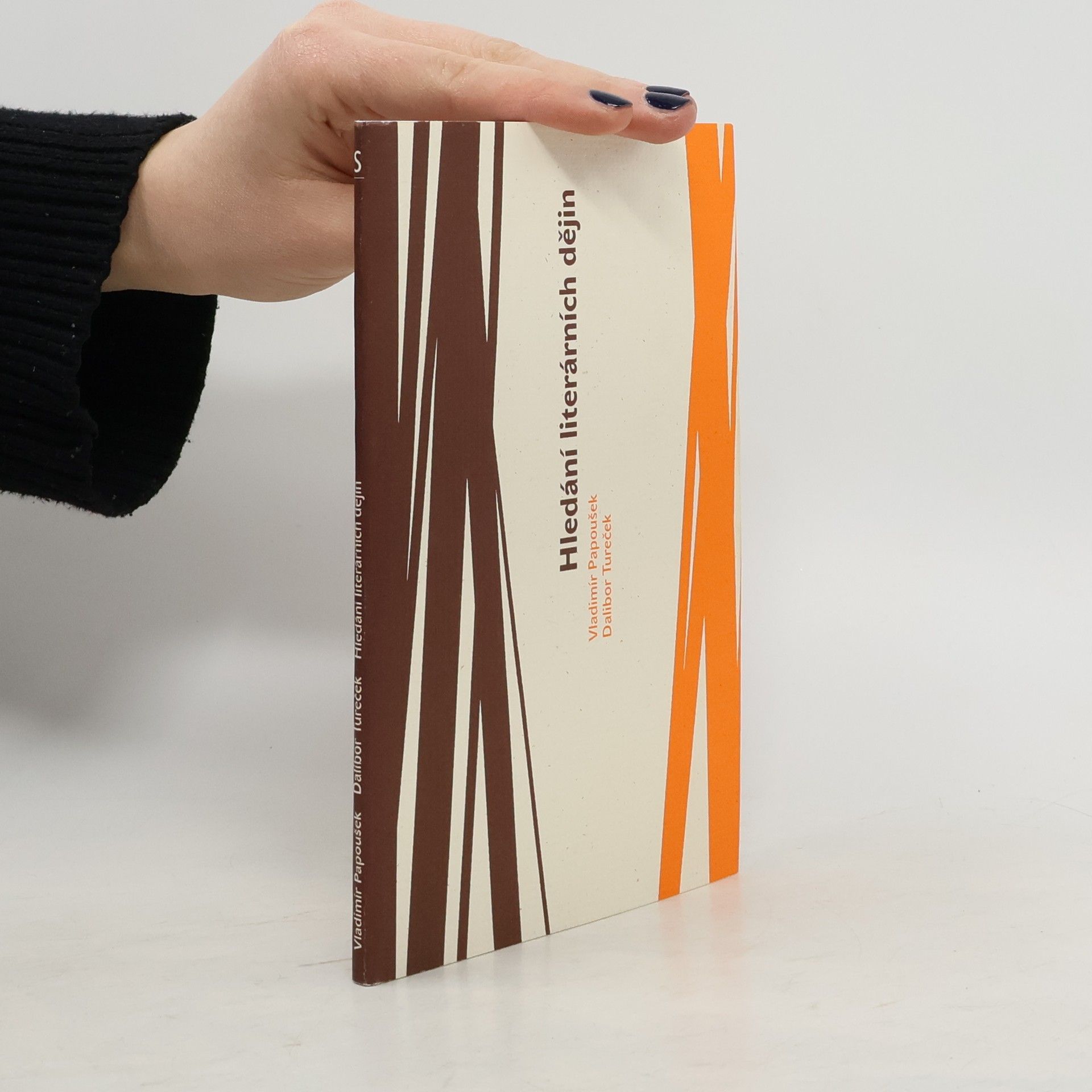 Hledání literárních dějin