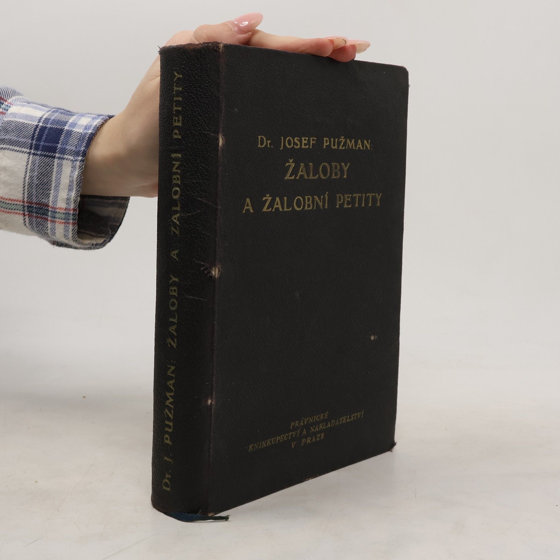 Josef Pužman Žaloby a žalobní petity - Systém