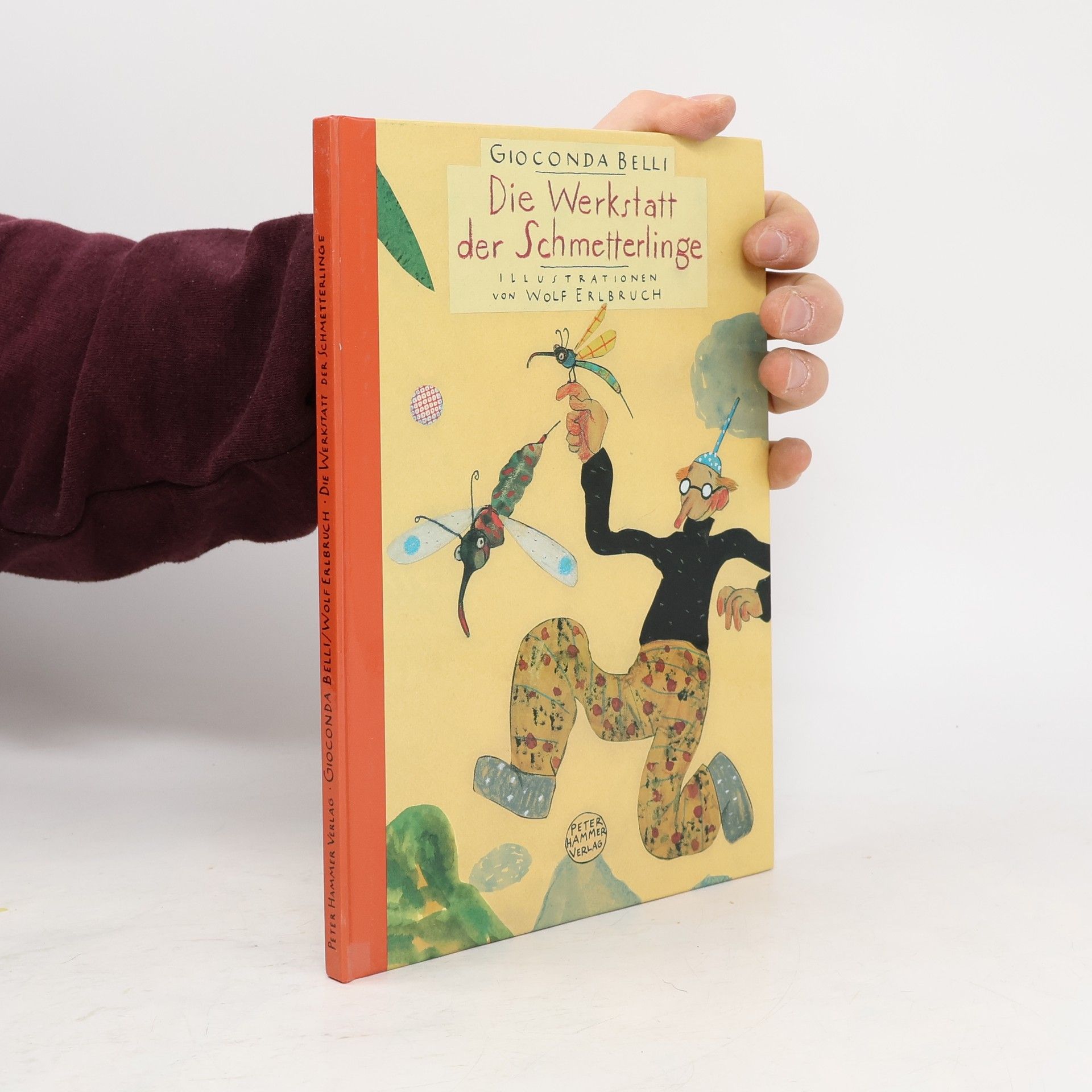 Gioconda Belli Die Werkstatt der Schmetterlinge