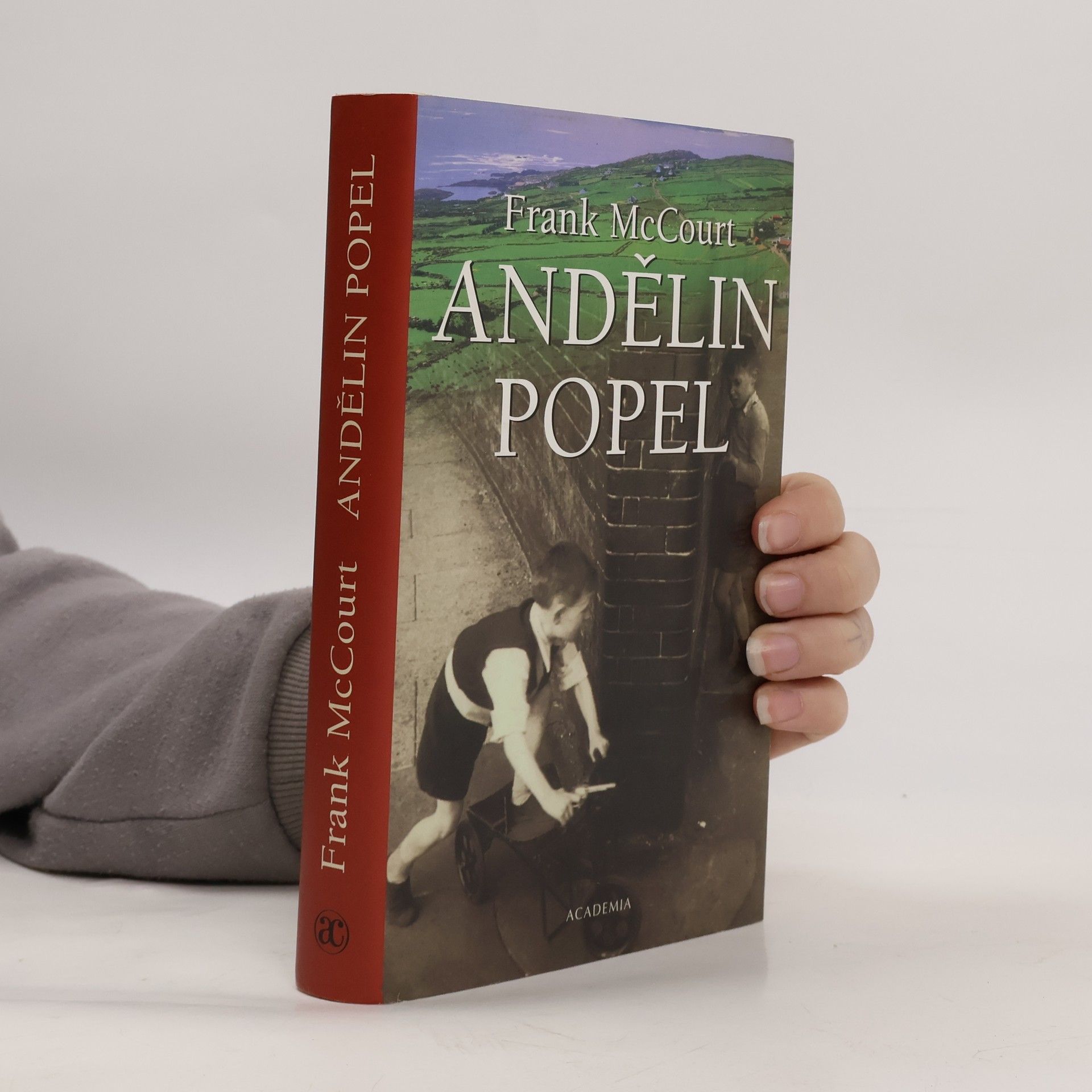 Frank McCourt Andělin popel