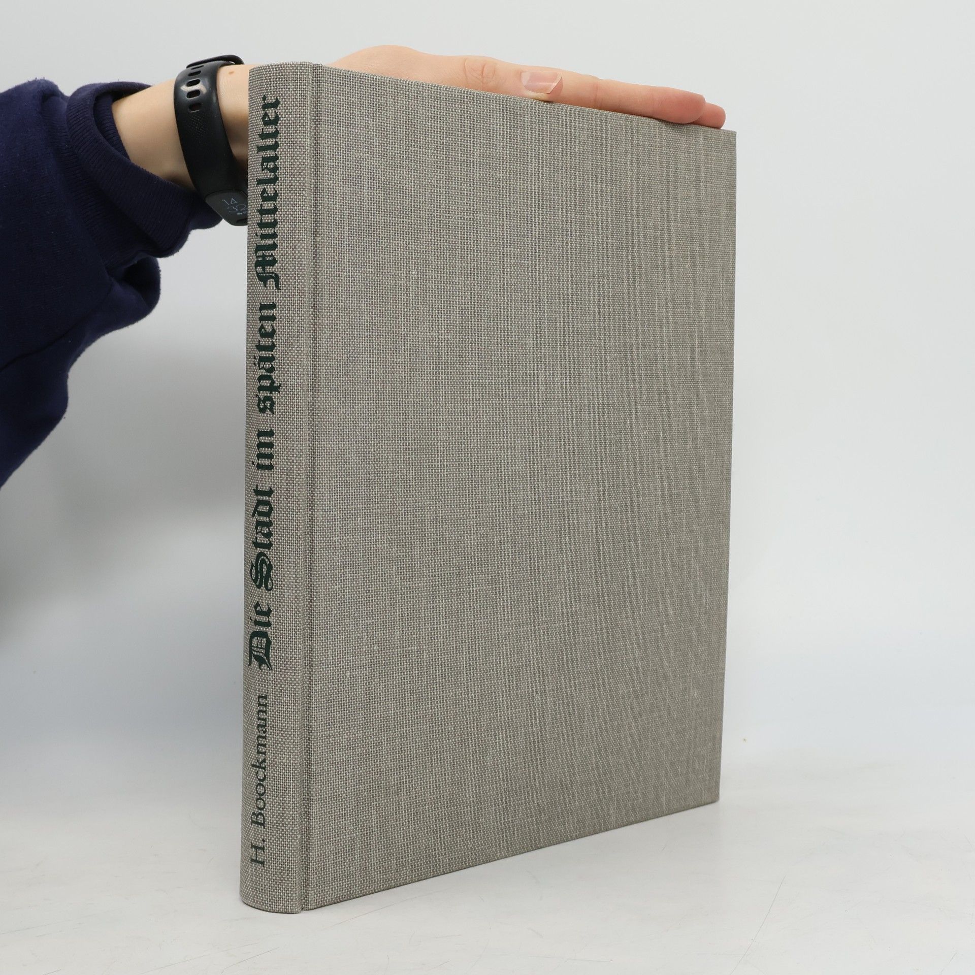 Autores varios Die Stadt im späten Mittelalter