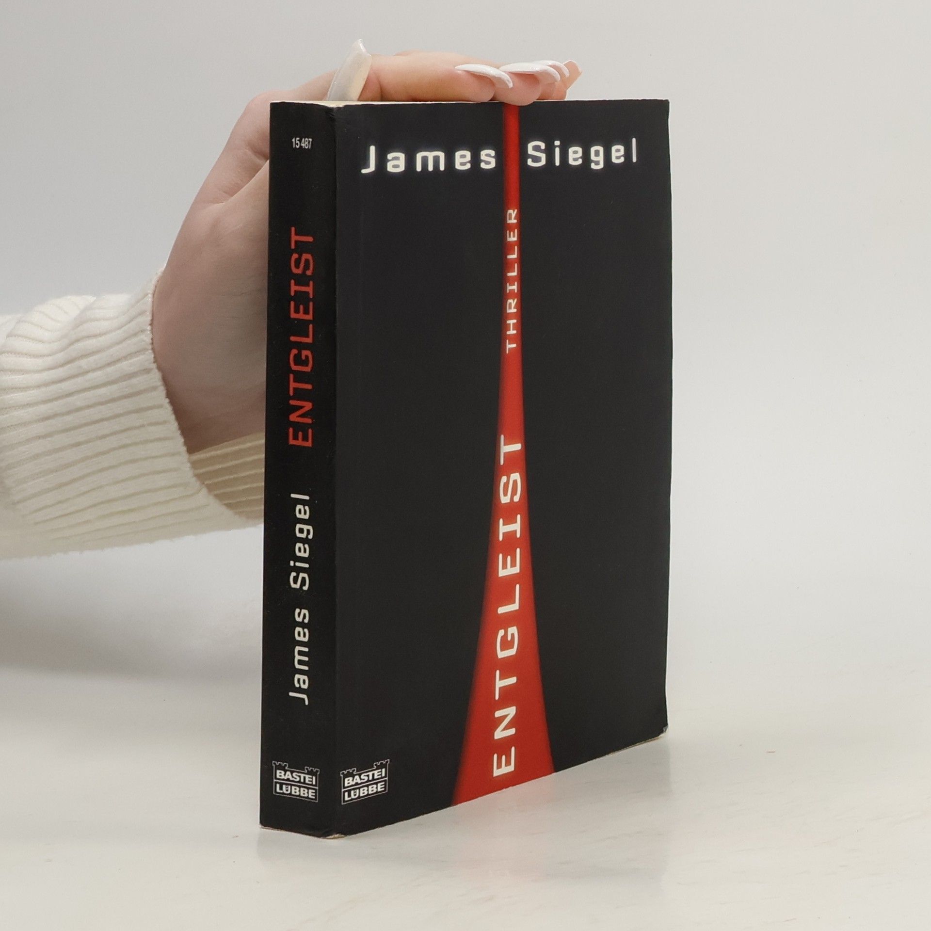 James Siegel Entgleist